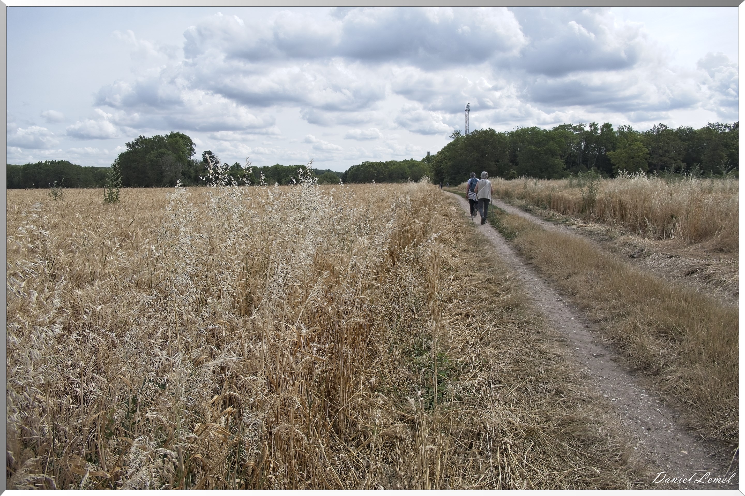 Ste-Geneviève-lès-Gasny