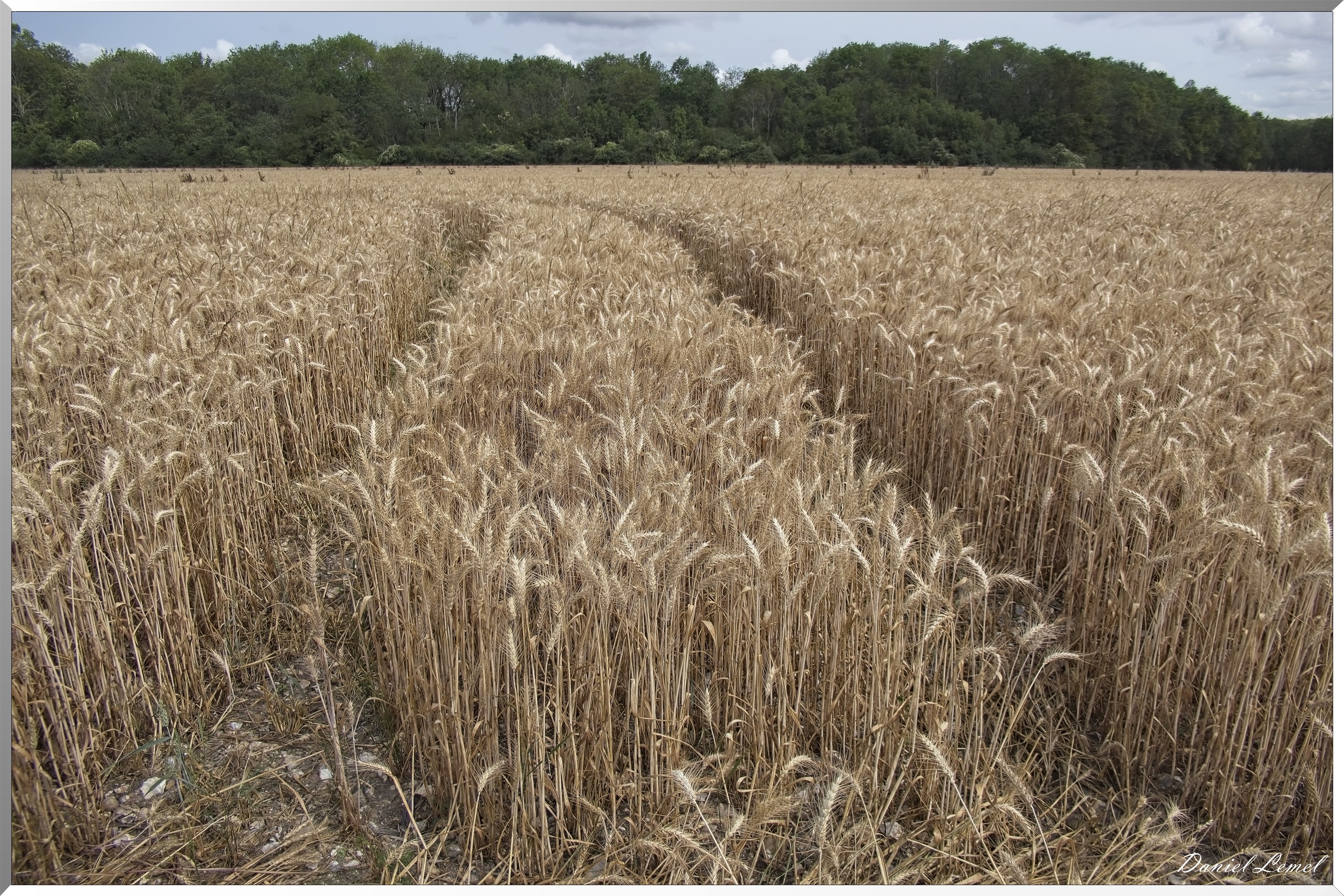 Ste-Geneviève-lès-Gasny