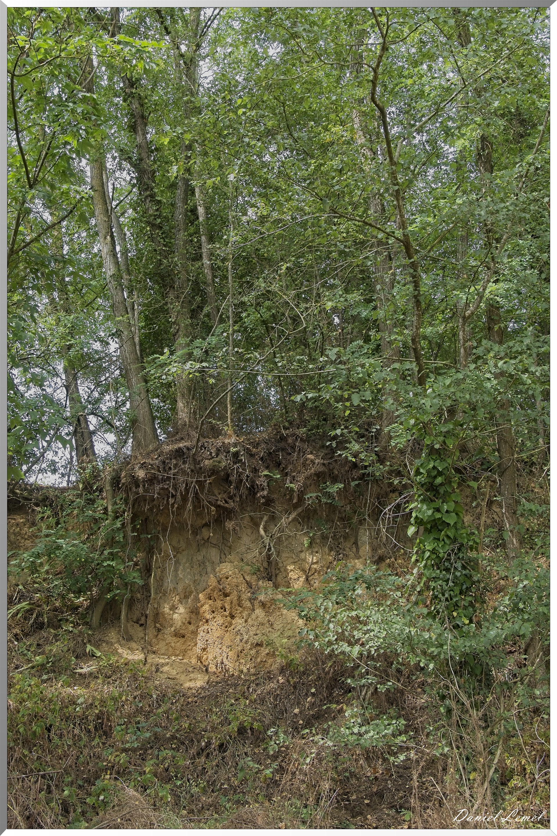 Ste-Geneviève-lès-Gasny