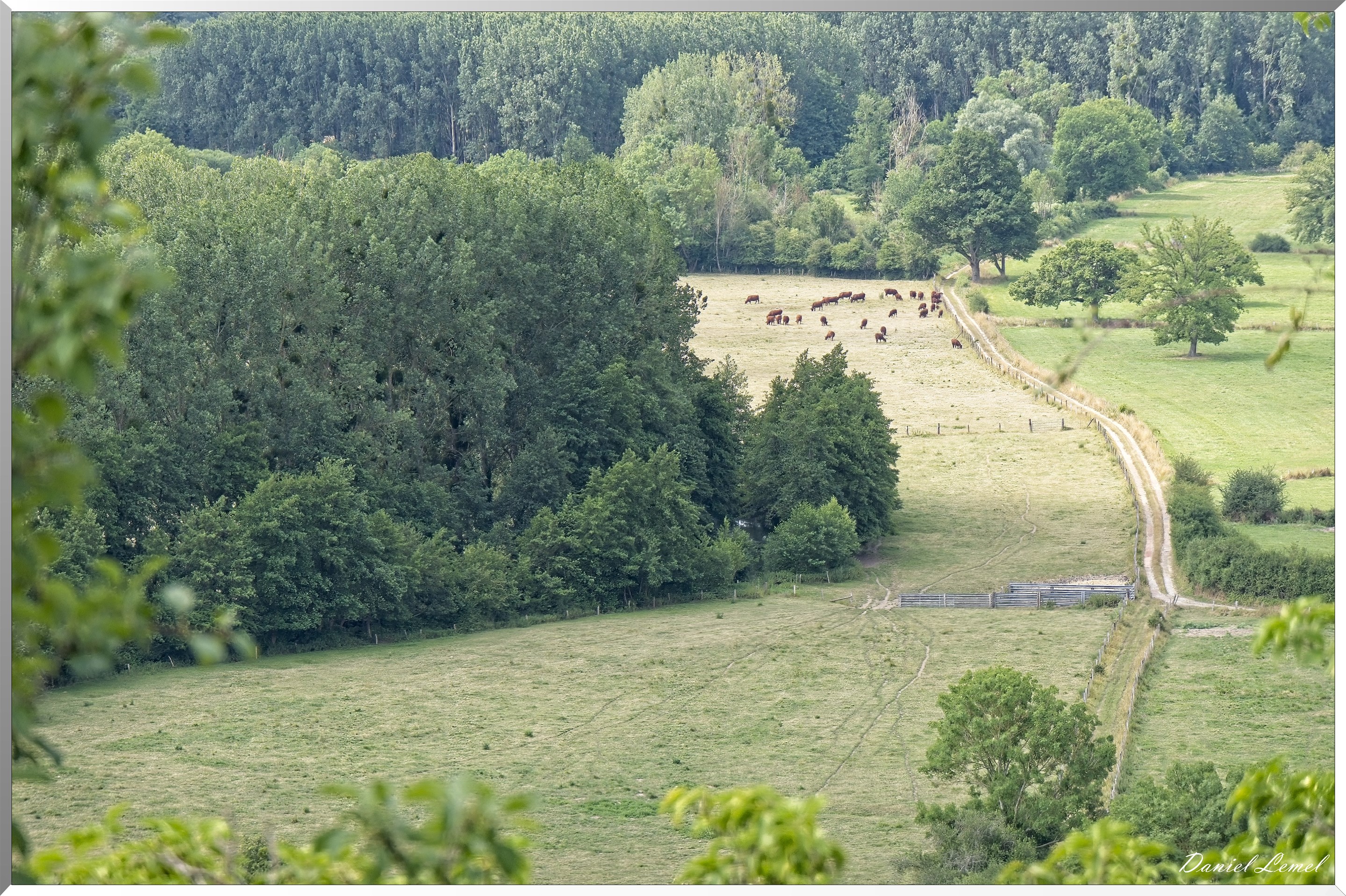 Ste-Geneviève-lès-Gasny