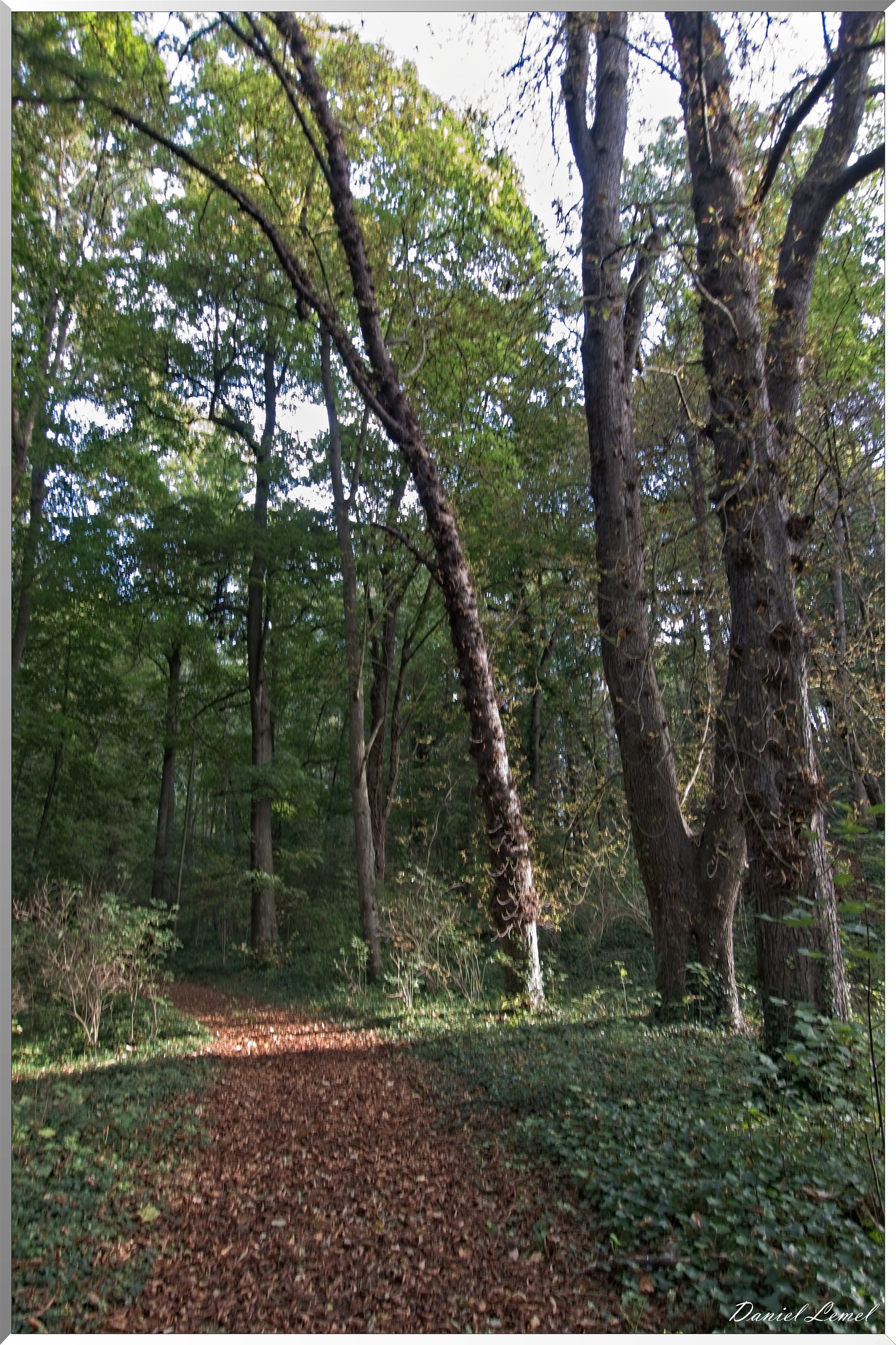 Pressagny-l'orgueilleux