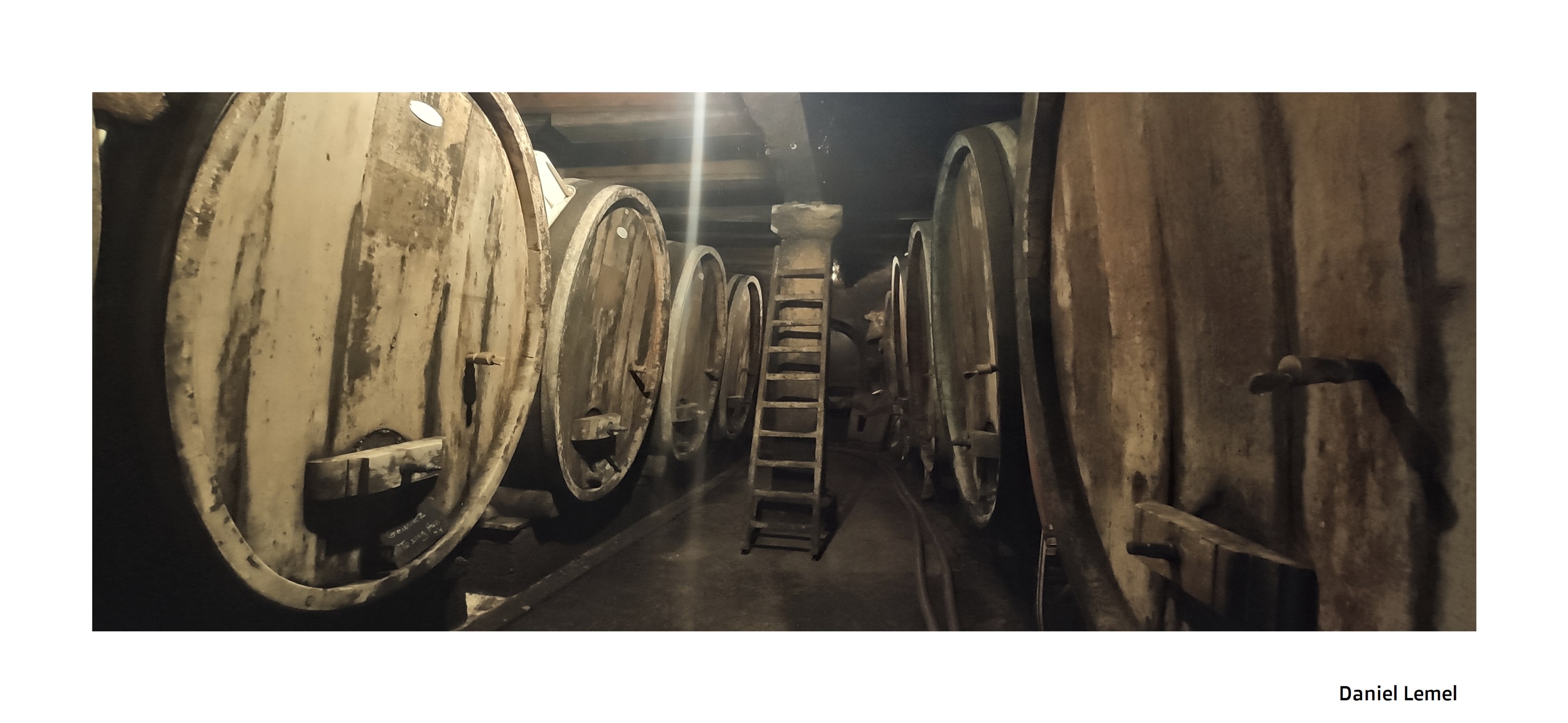 Cave de Jean-Marie et Herve Sohler