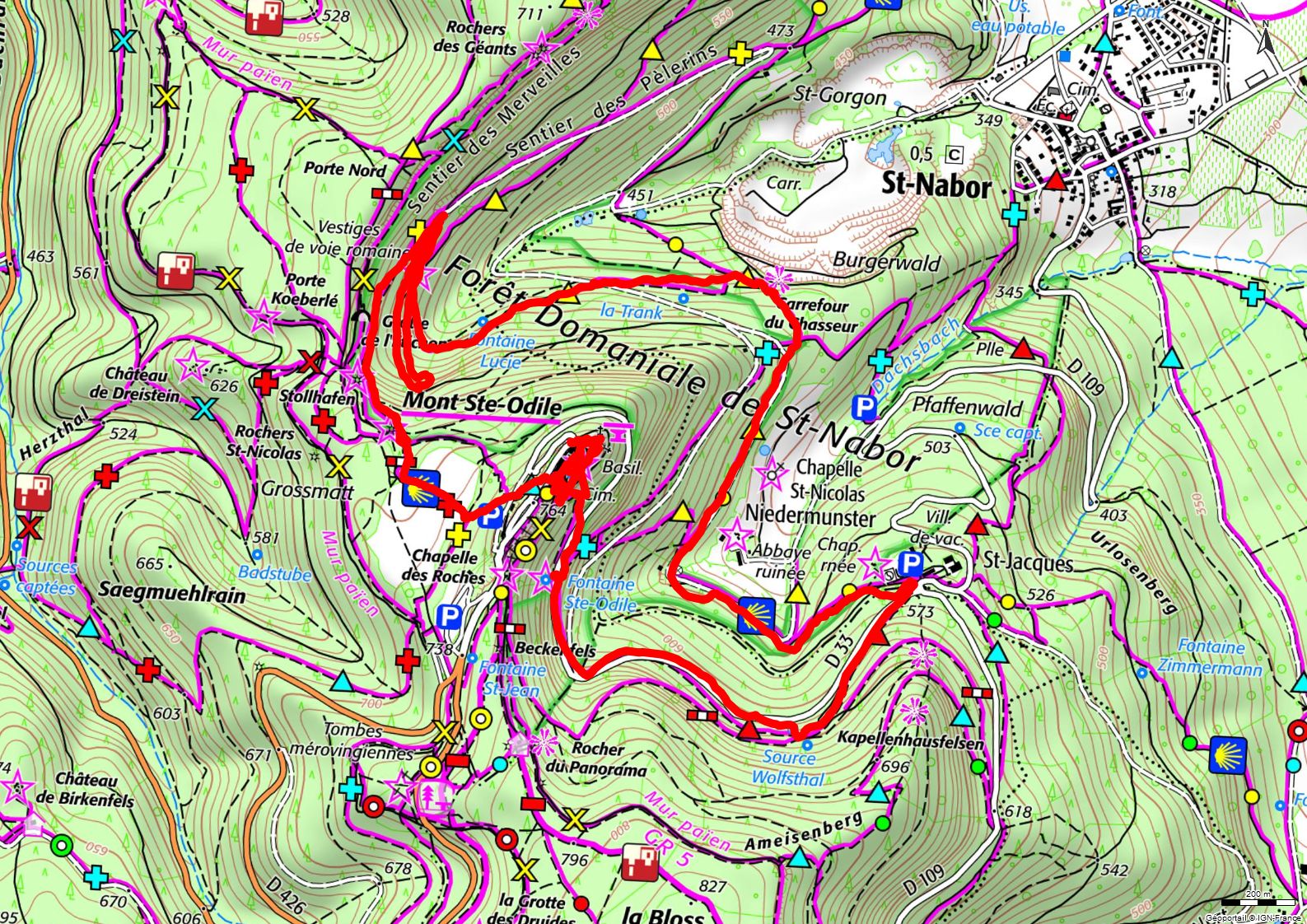 Rando - Mont Sainte-Odile