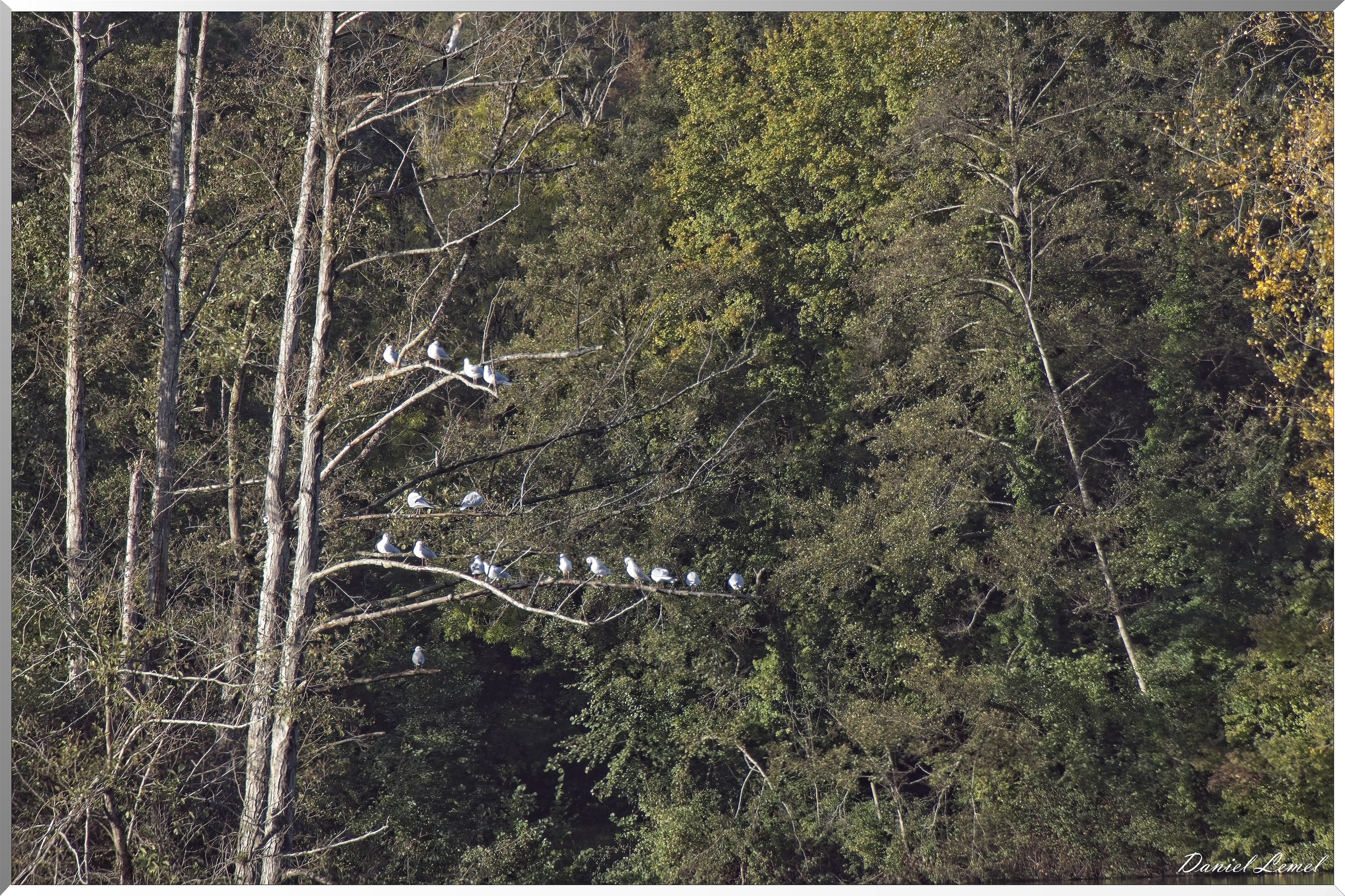 Heudreville-sur-Eure