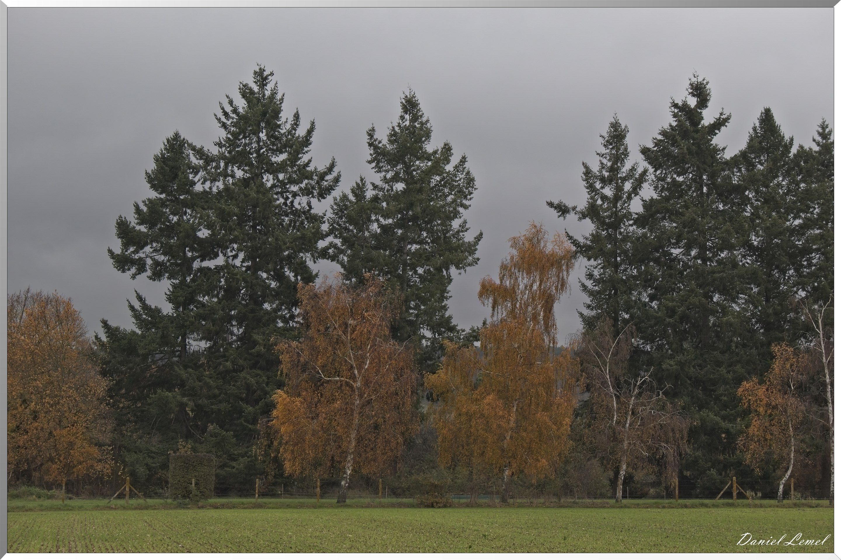 Pressagny l'orgueilleux