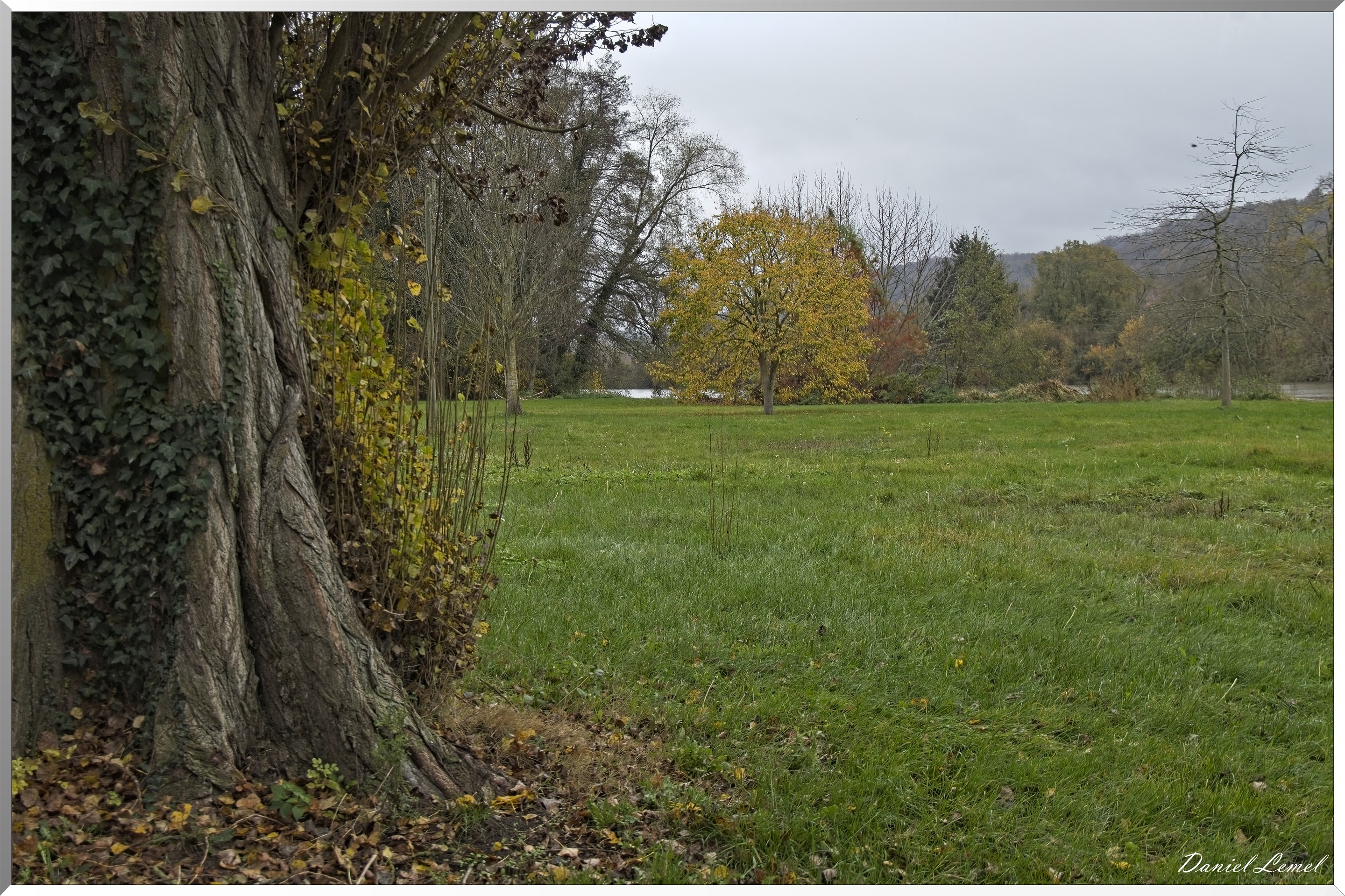 Pressagny l'orgueilleux
