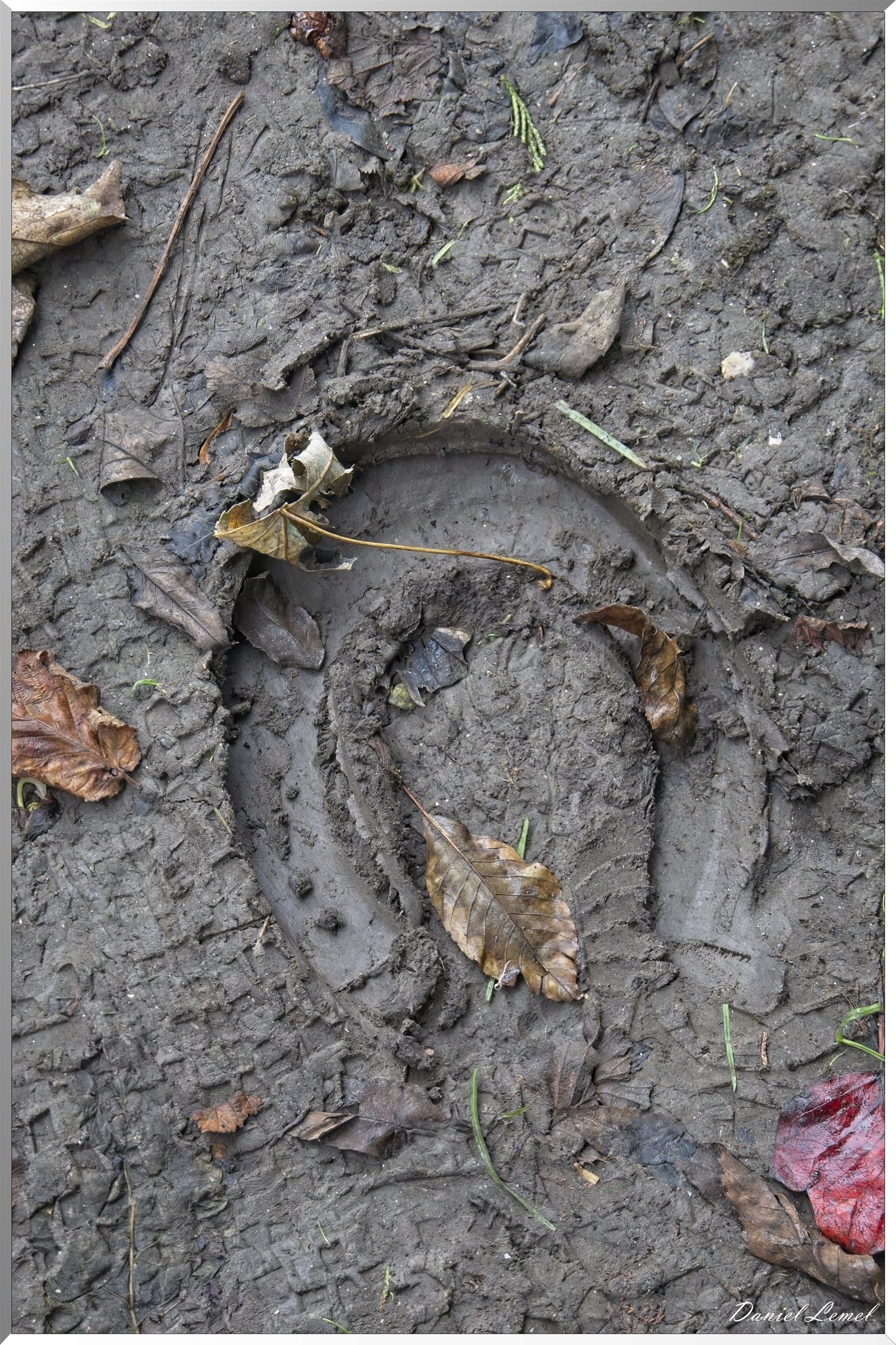 Pressagny l'orgueilleux