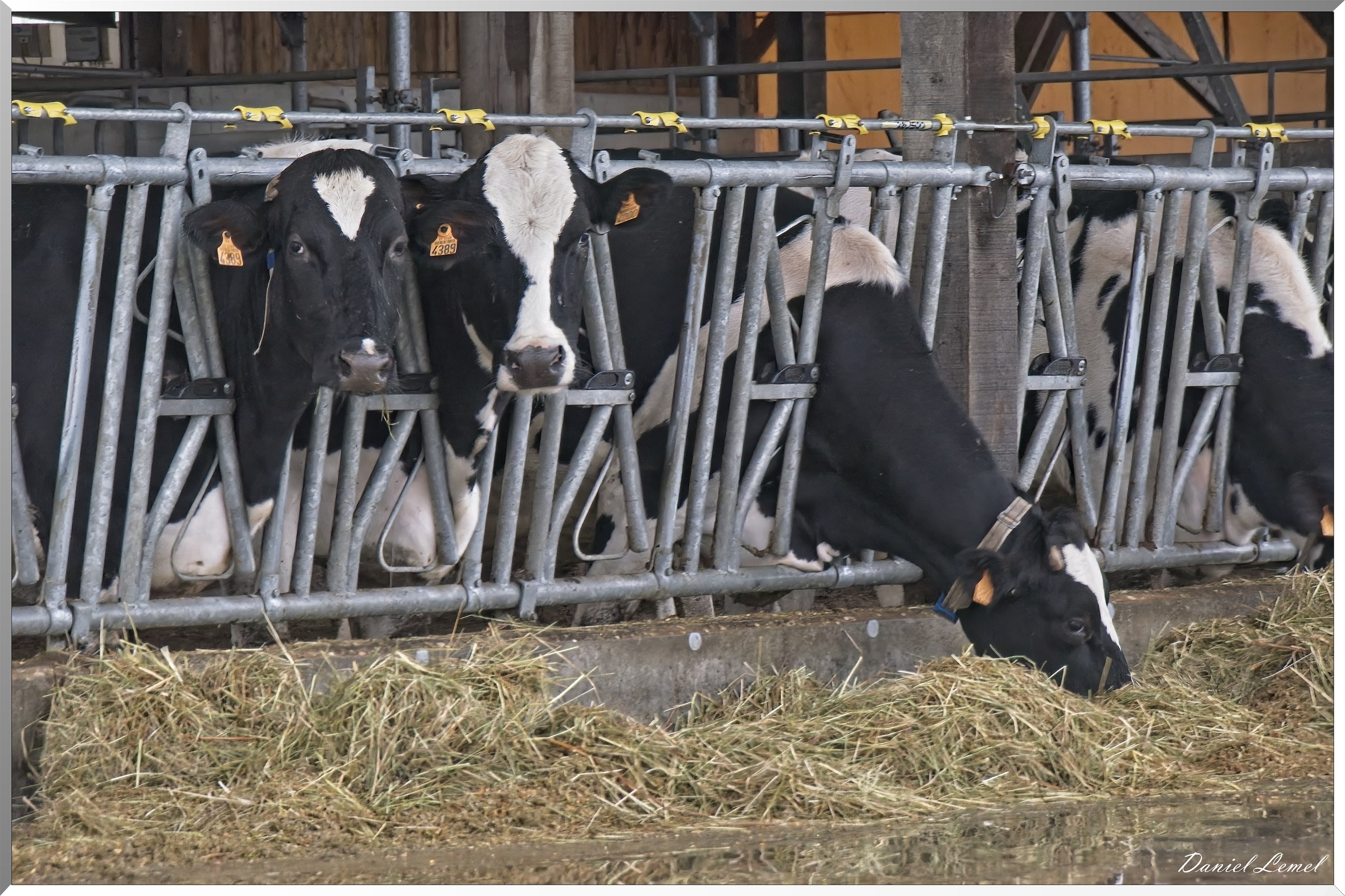 Heubecourt-Haricourt