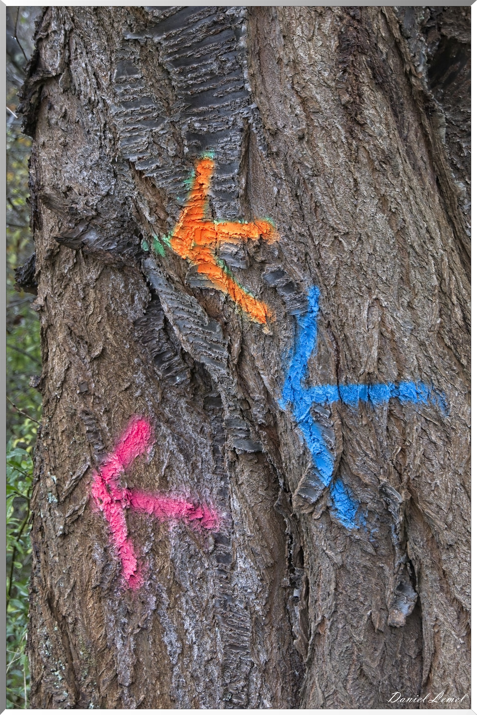 Heubecourt-Haricourt