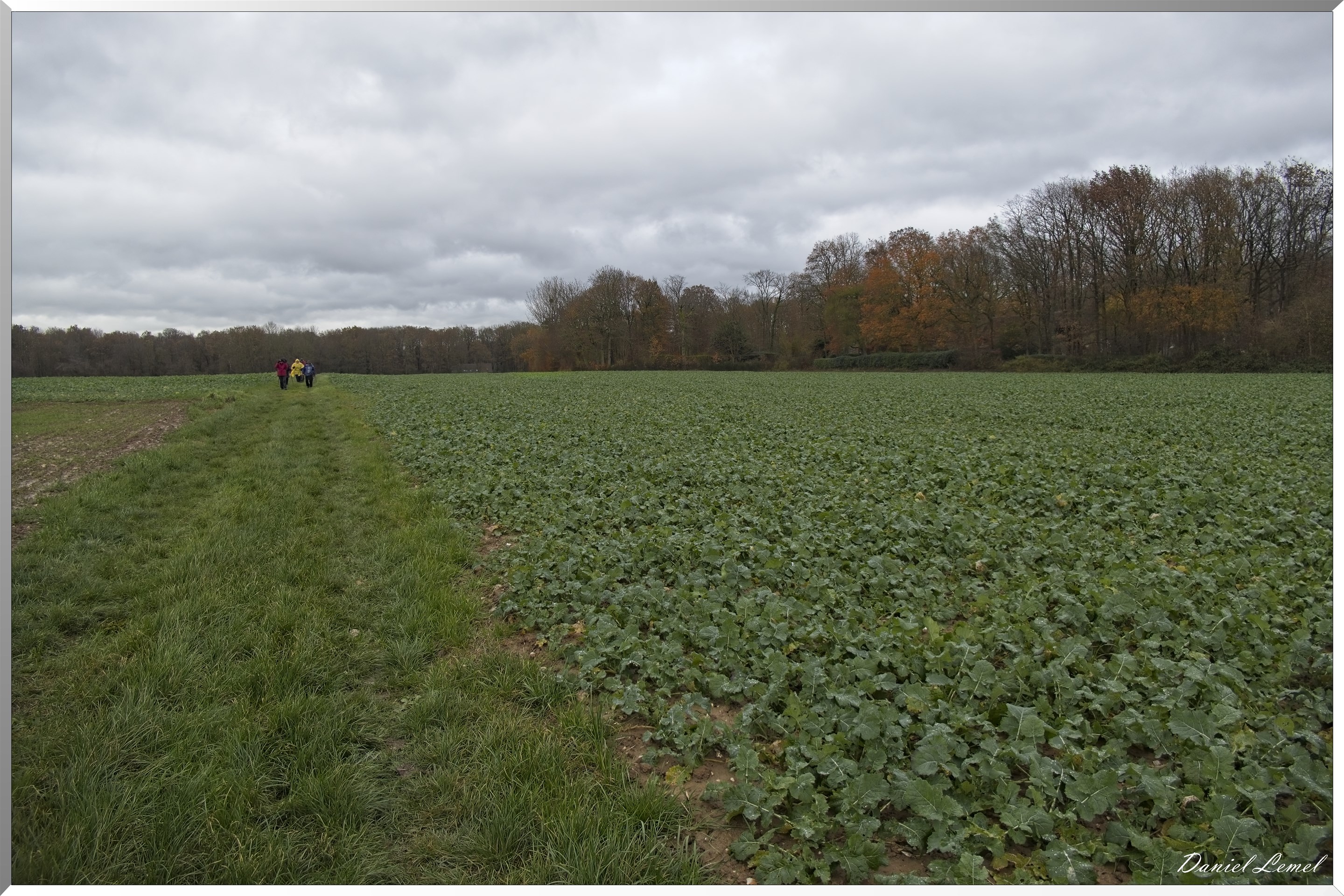 Heubecourt-Haricourt