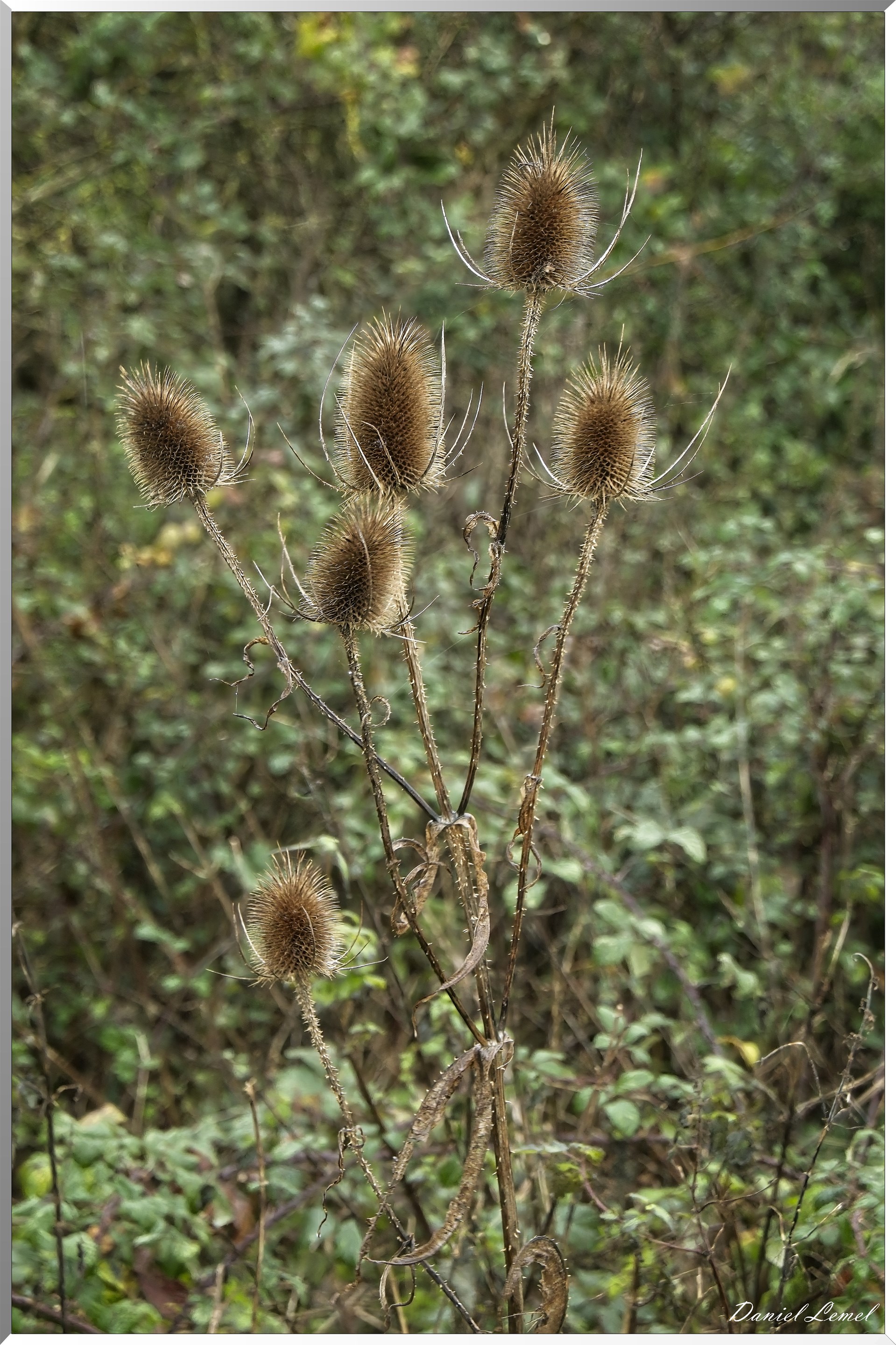 Heubecourt-Haricourt