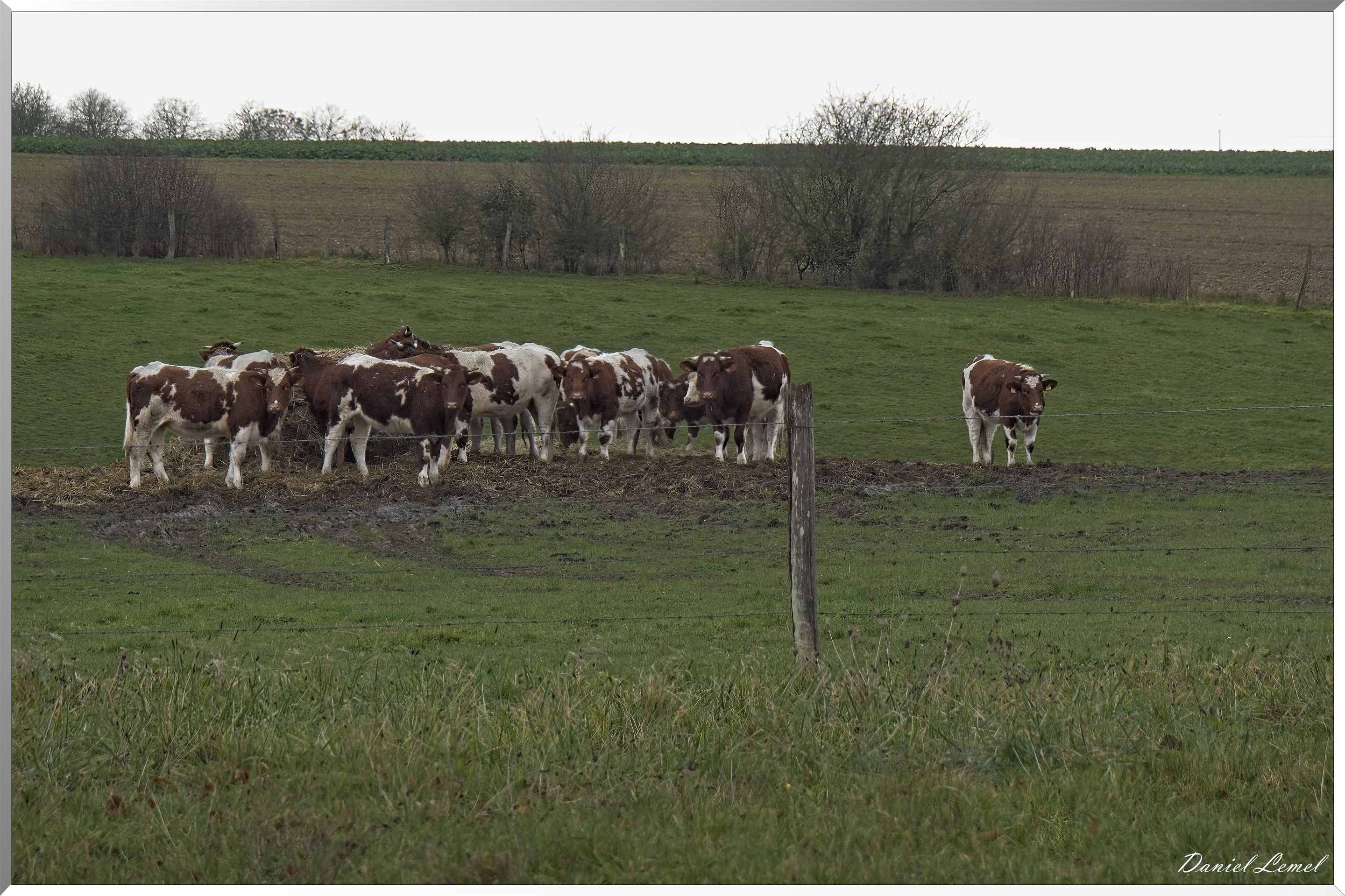 Heubecourt-Haricourt
