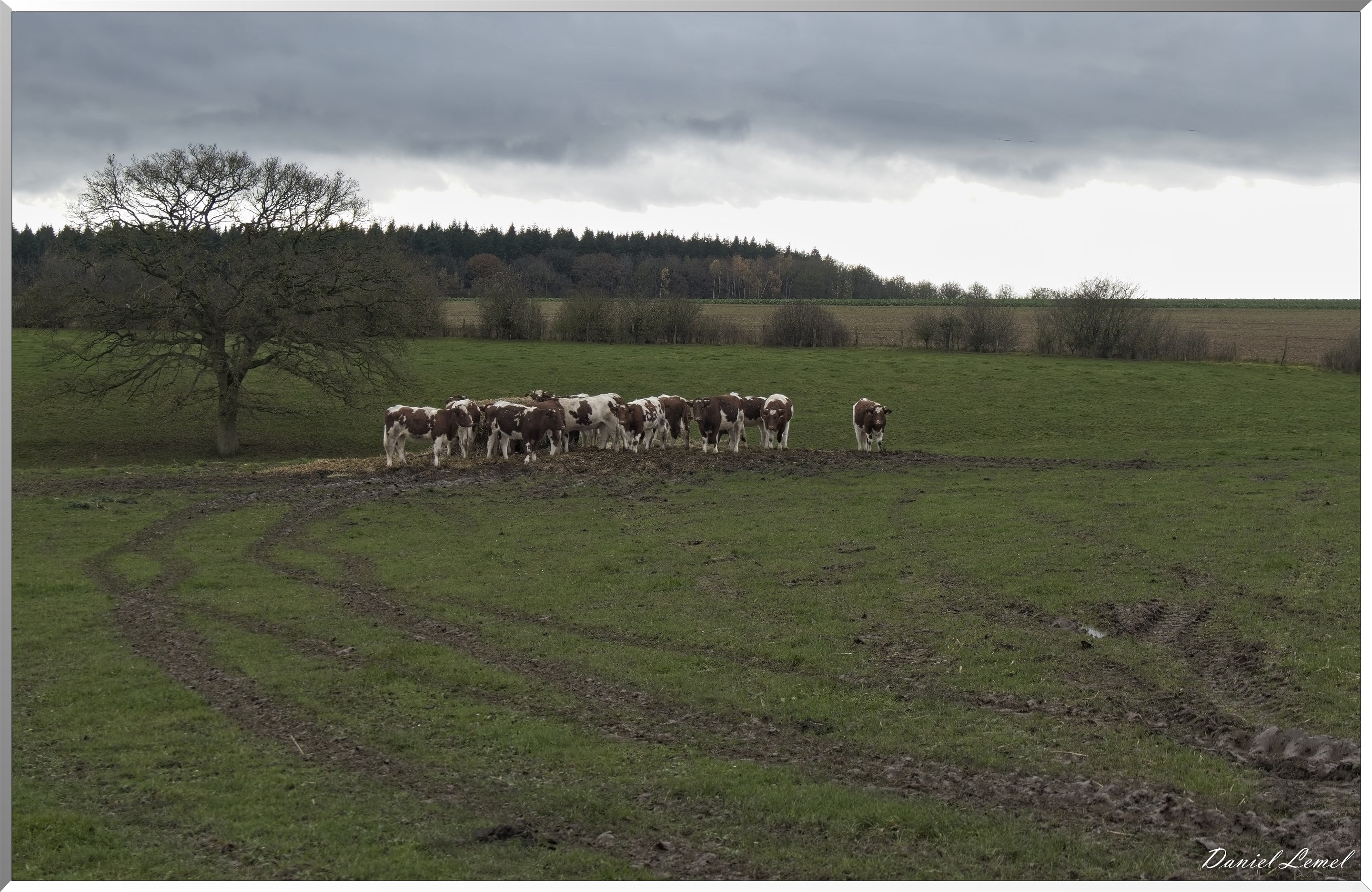 Heubecourt-Haricourt