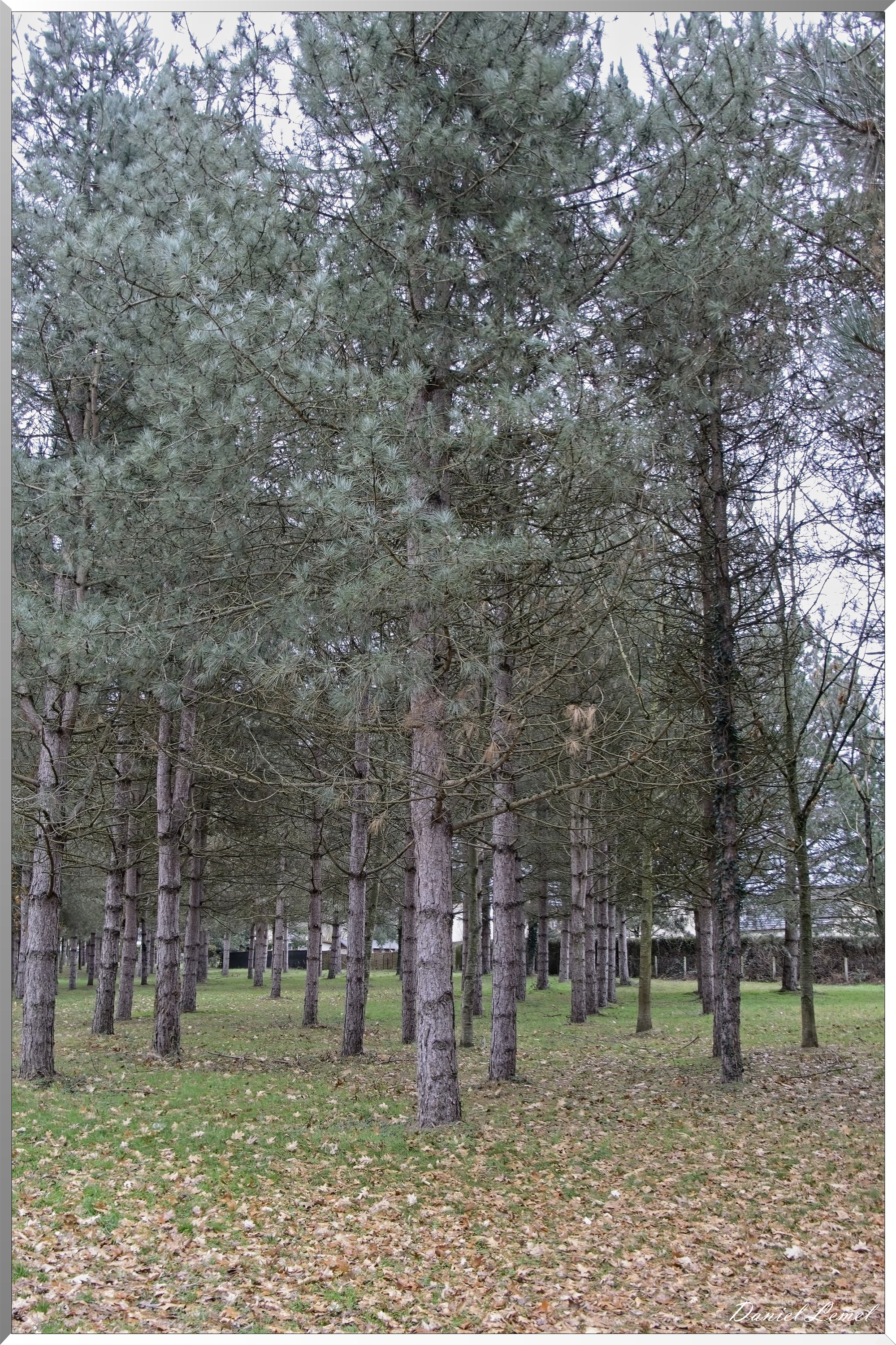 Courcelles-sur-Seine