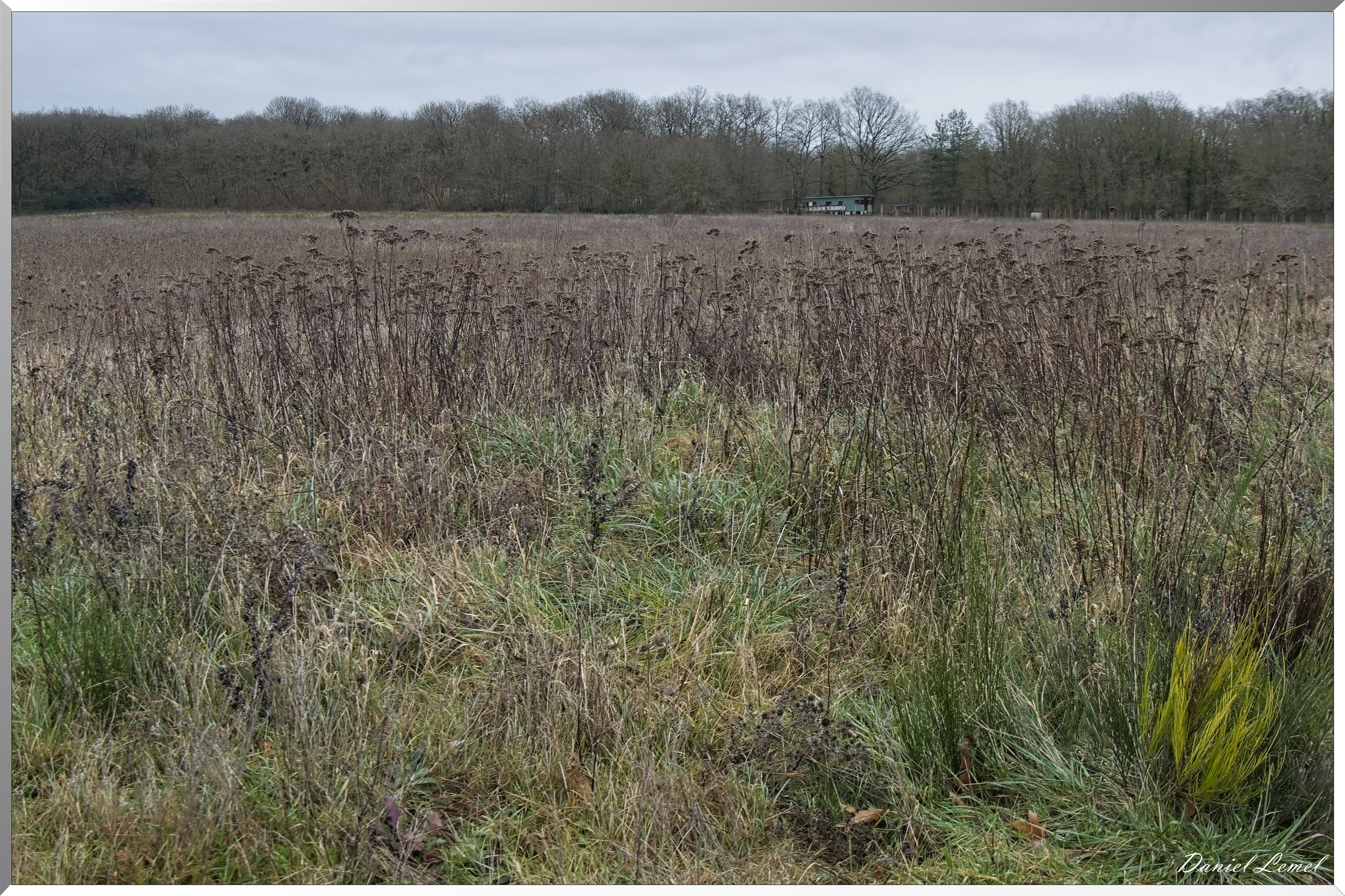 Courcelles-sur-Seine