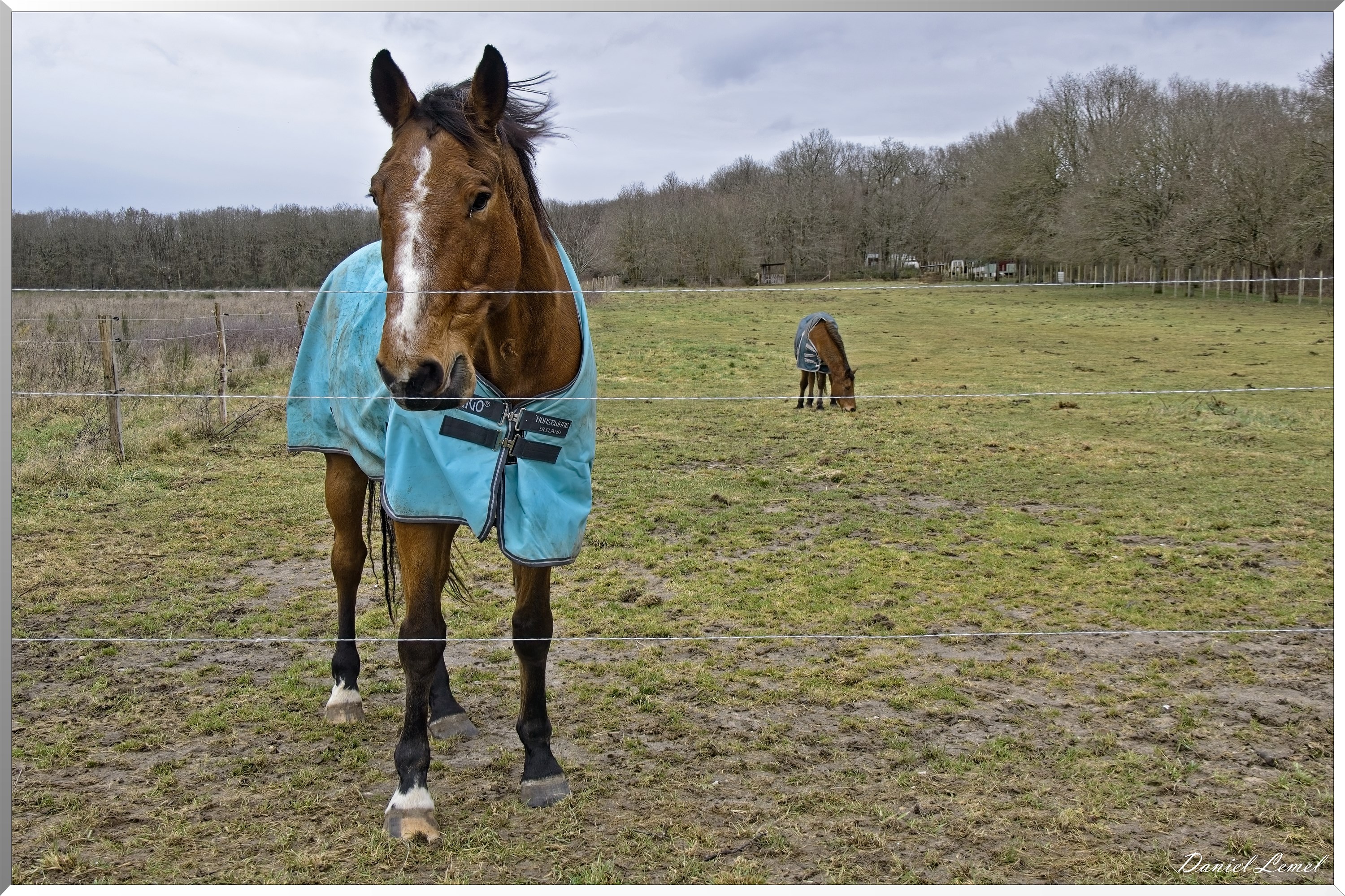 Courcelles-sur-Seine