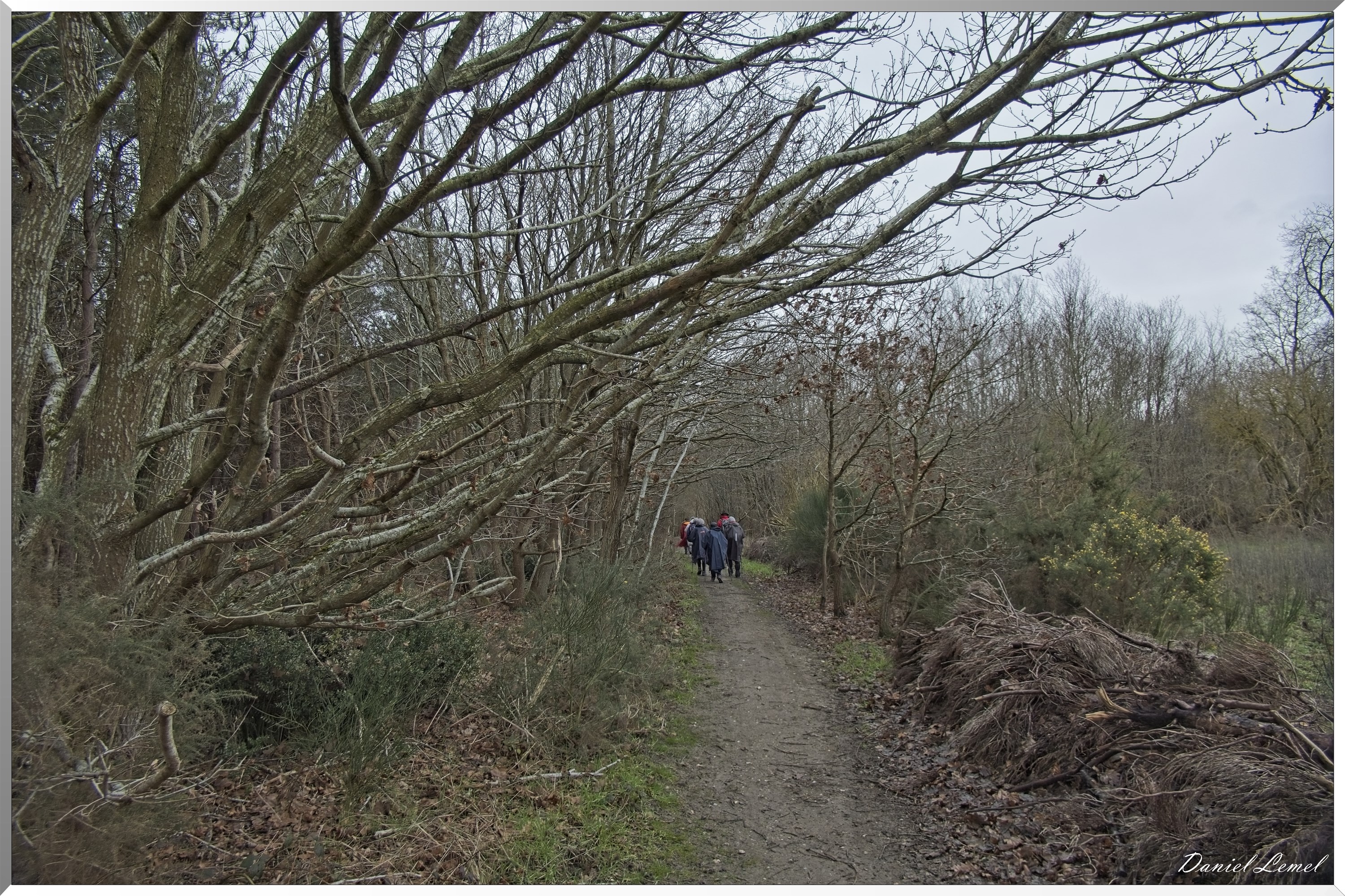 Courcelles-sur-Seine