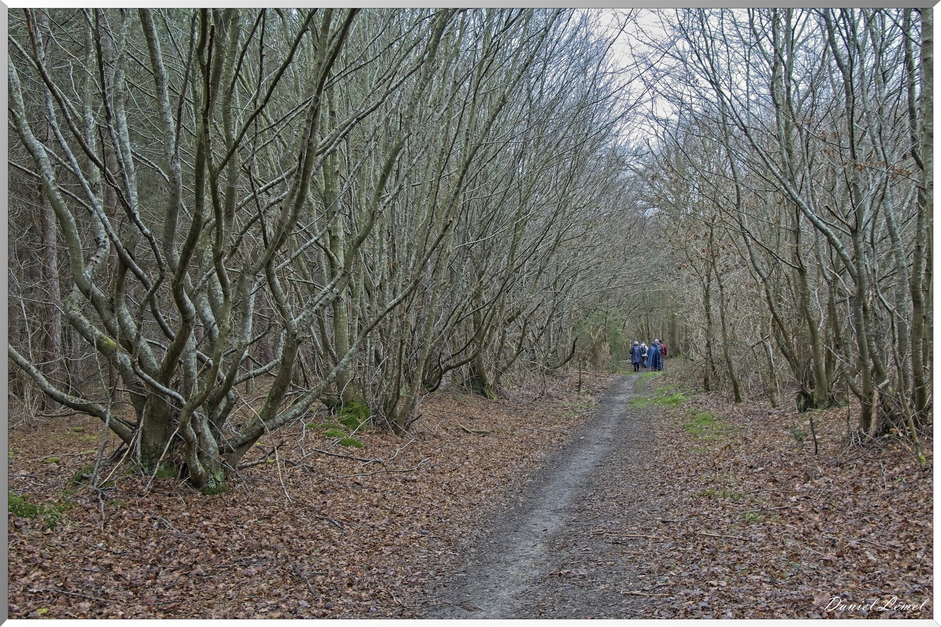 Courcelles-sur-Seine