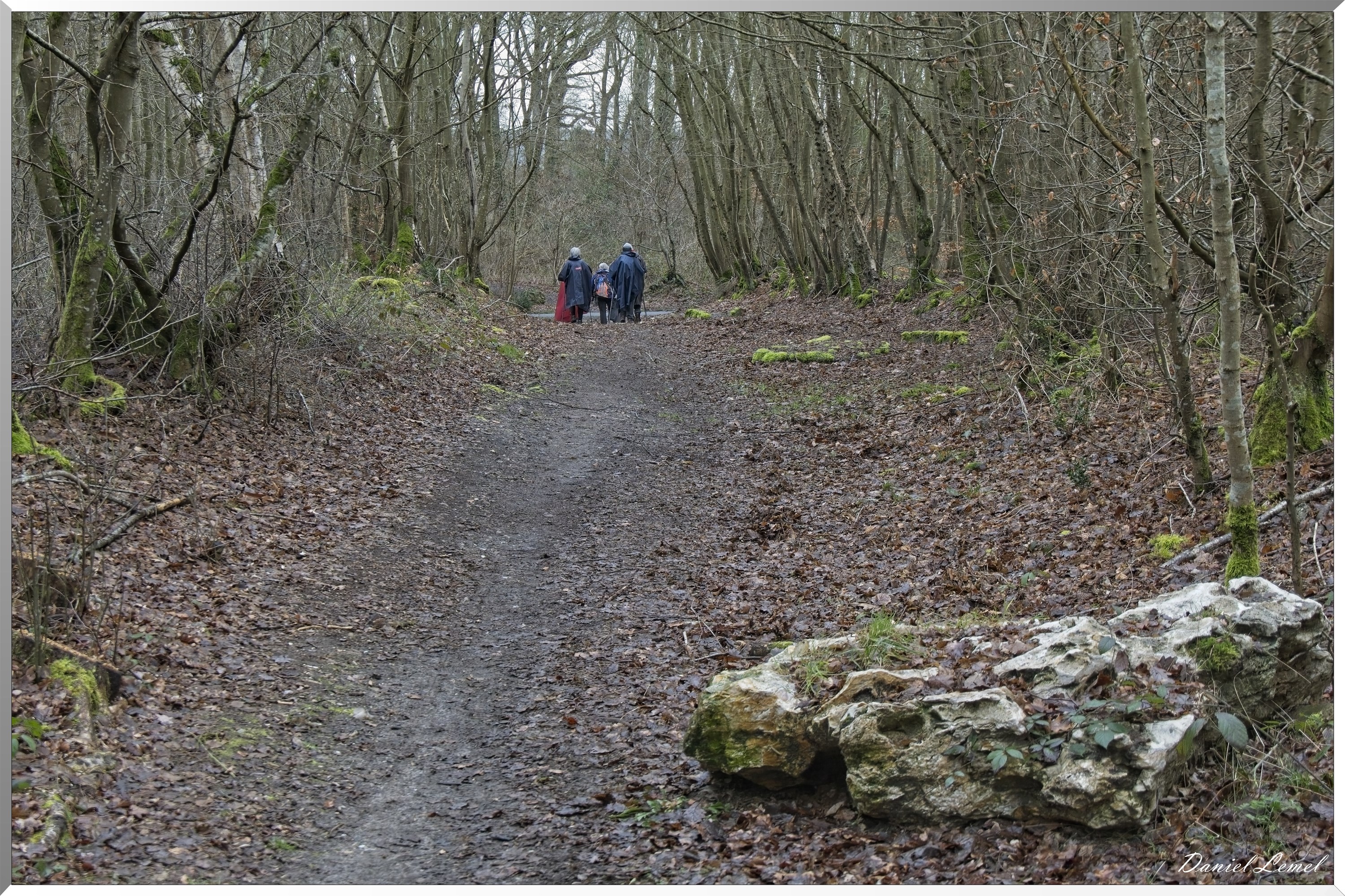 Courcelles-sur-Seine