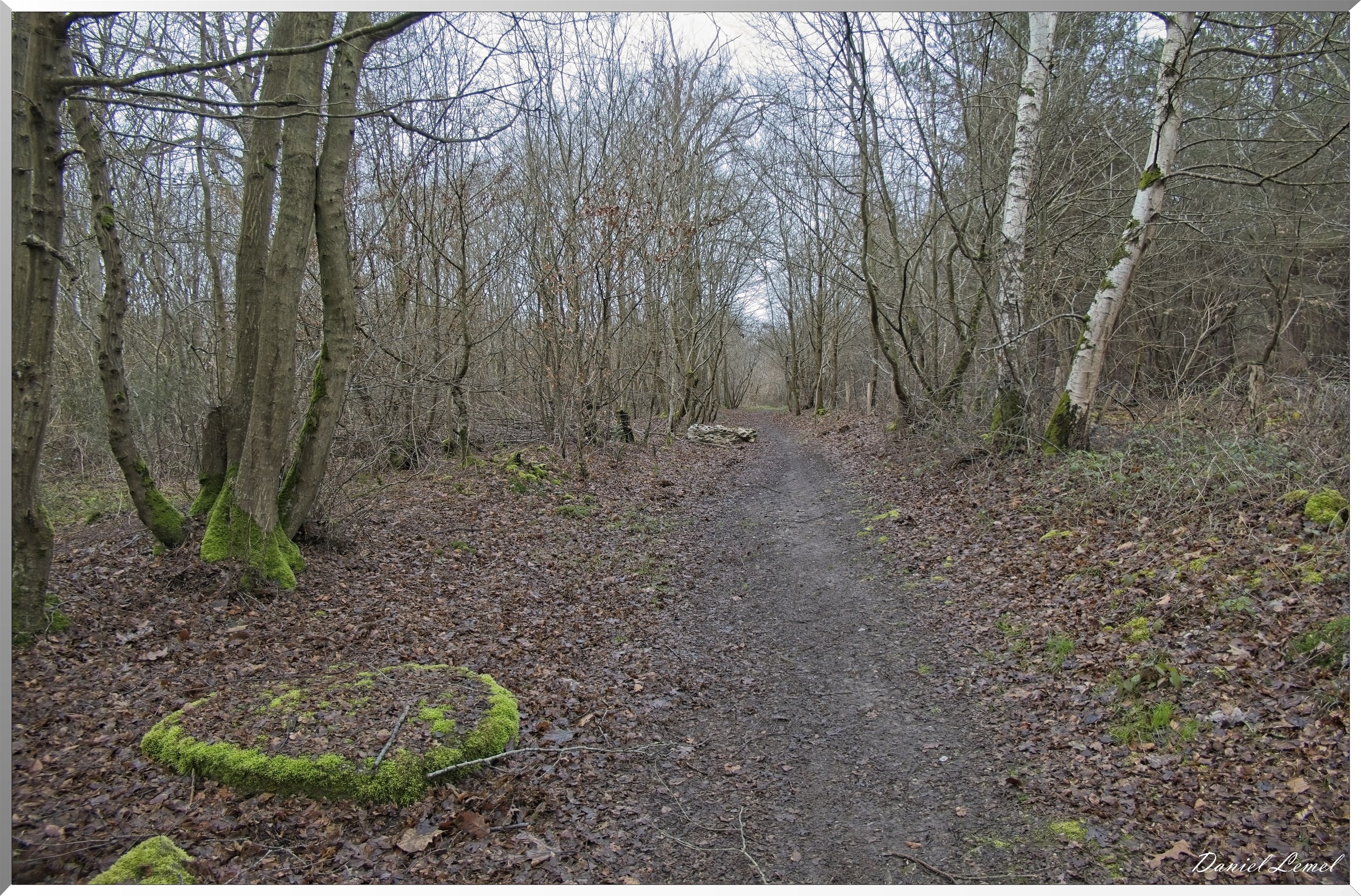 Courcelles-sur-Seine