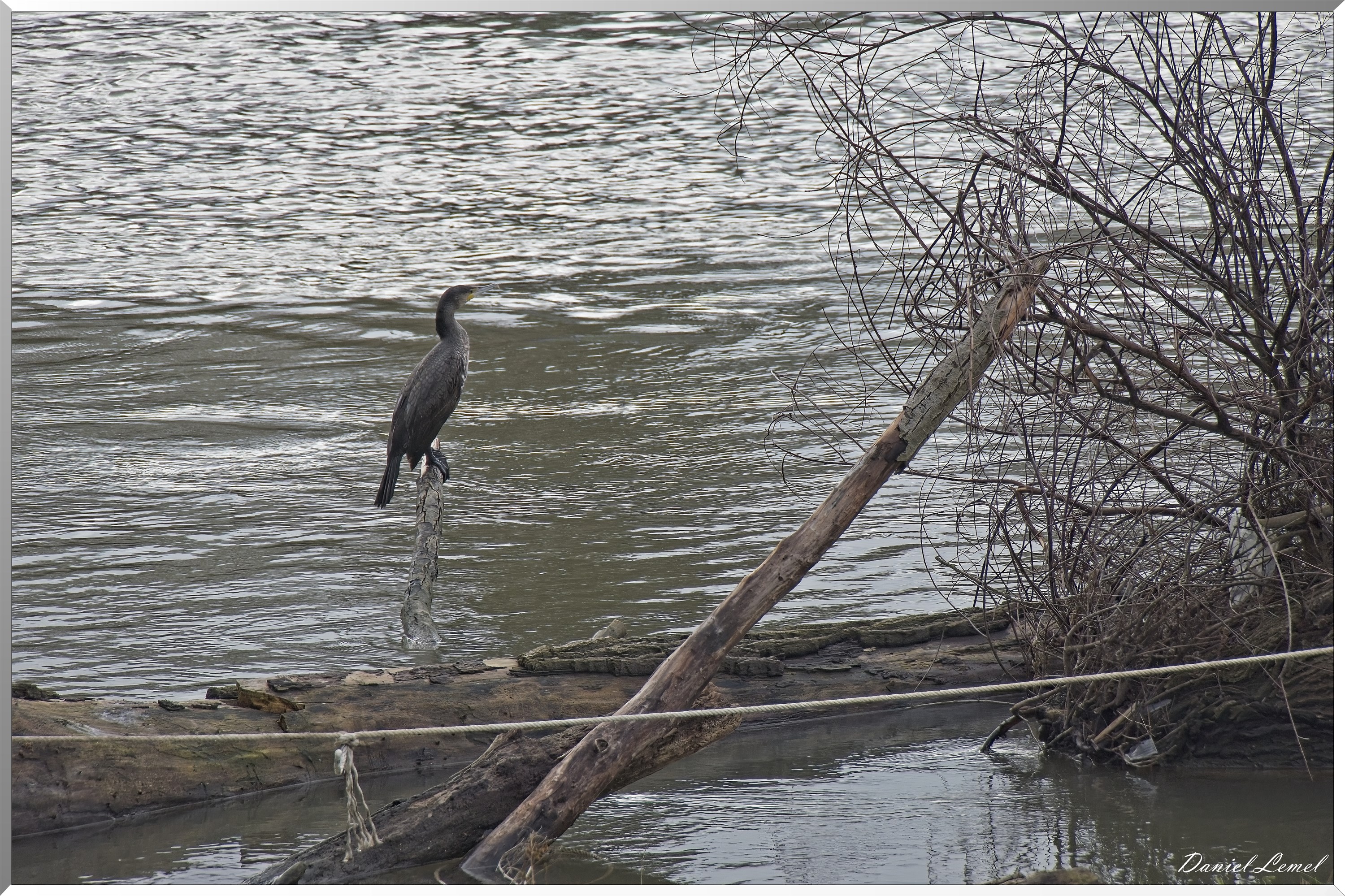 Courcelles-sur-Seine