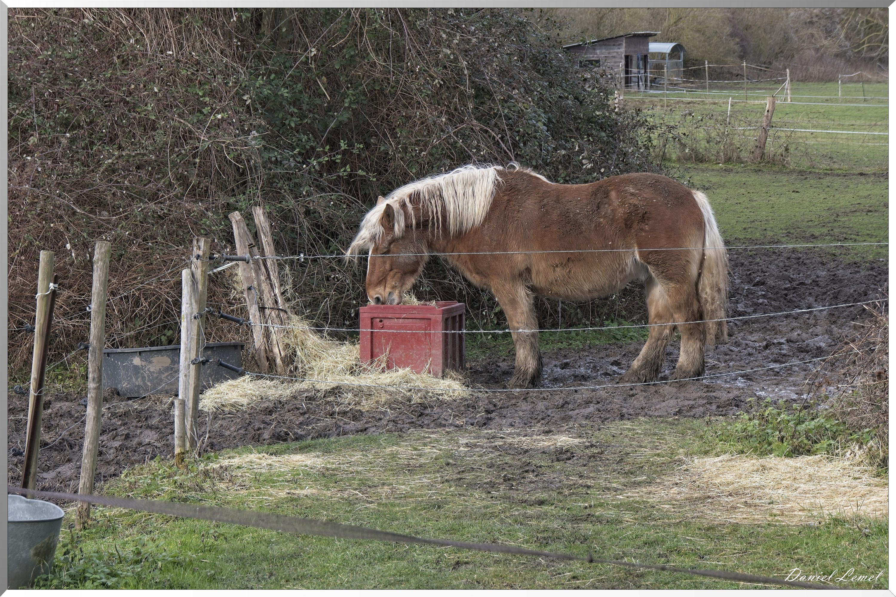 Courcelles-sur-Seine