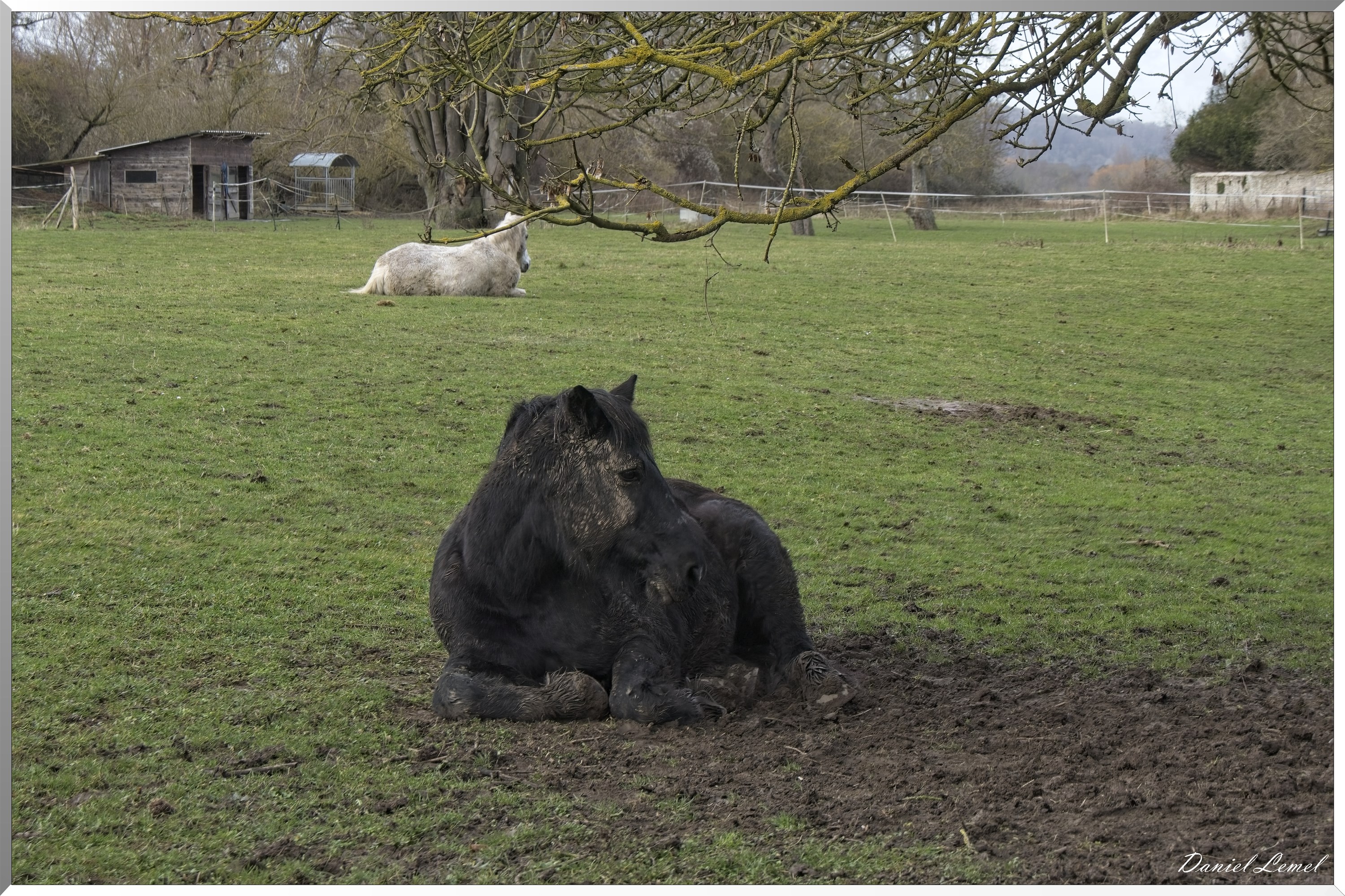 Courcelles-sur-Seine