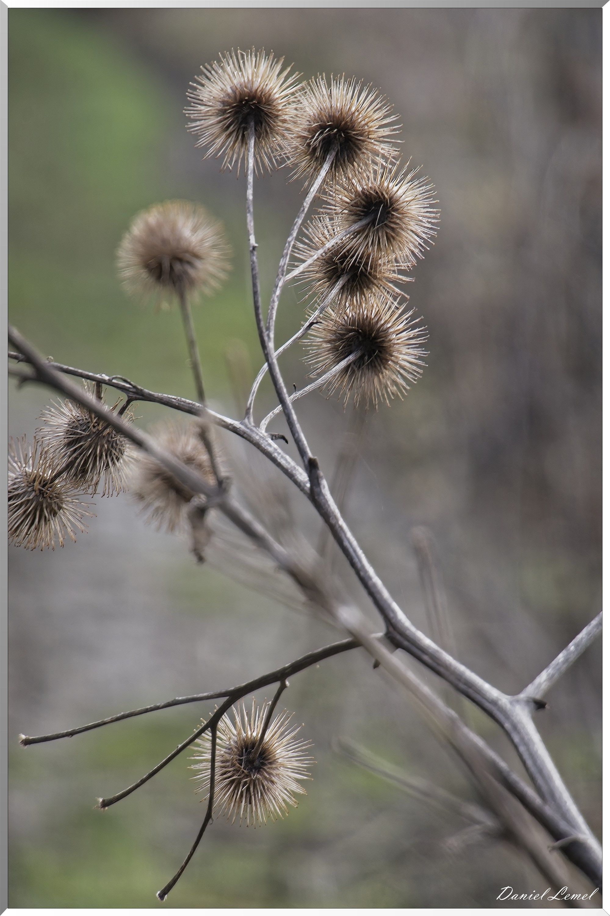 Courcelles-sur-Seine
