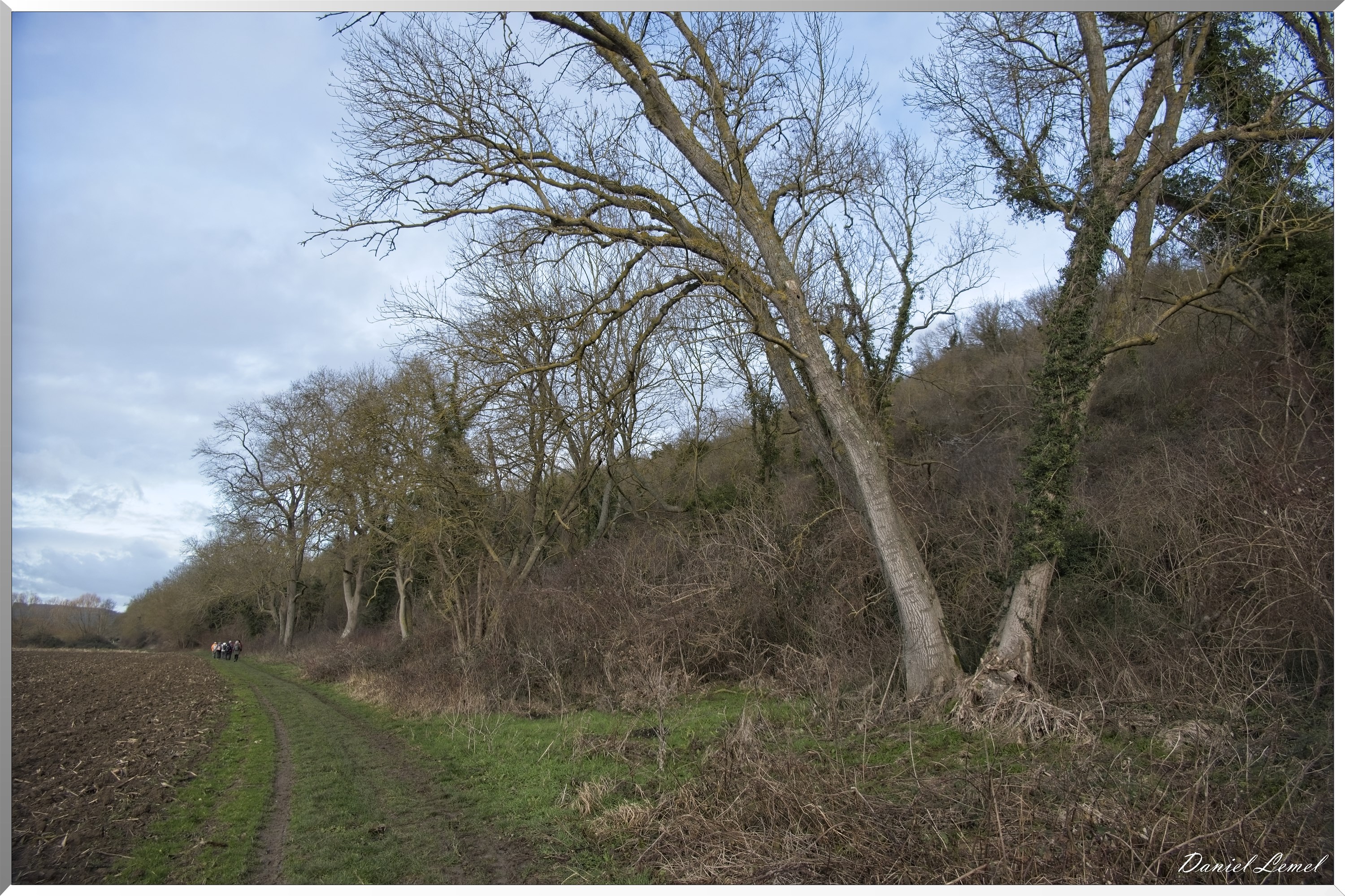 Courcelles-sur-Seine
