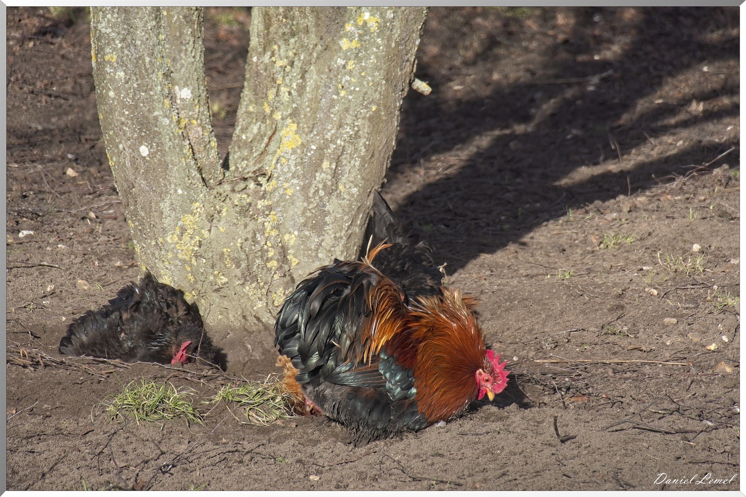 Courcelles-sur-Seine