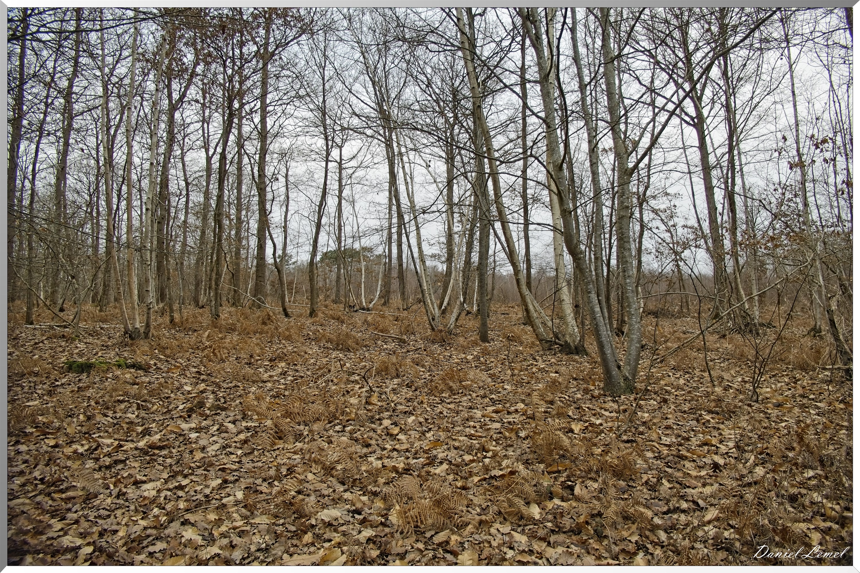 La-Chapelle-Réanville