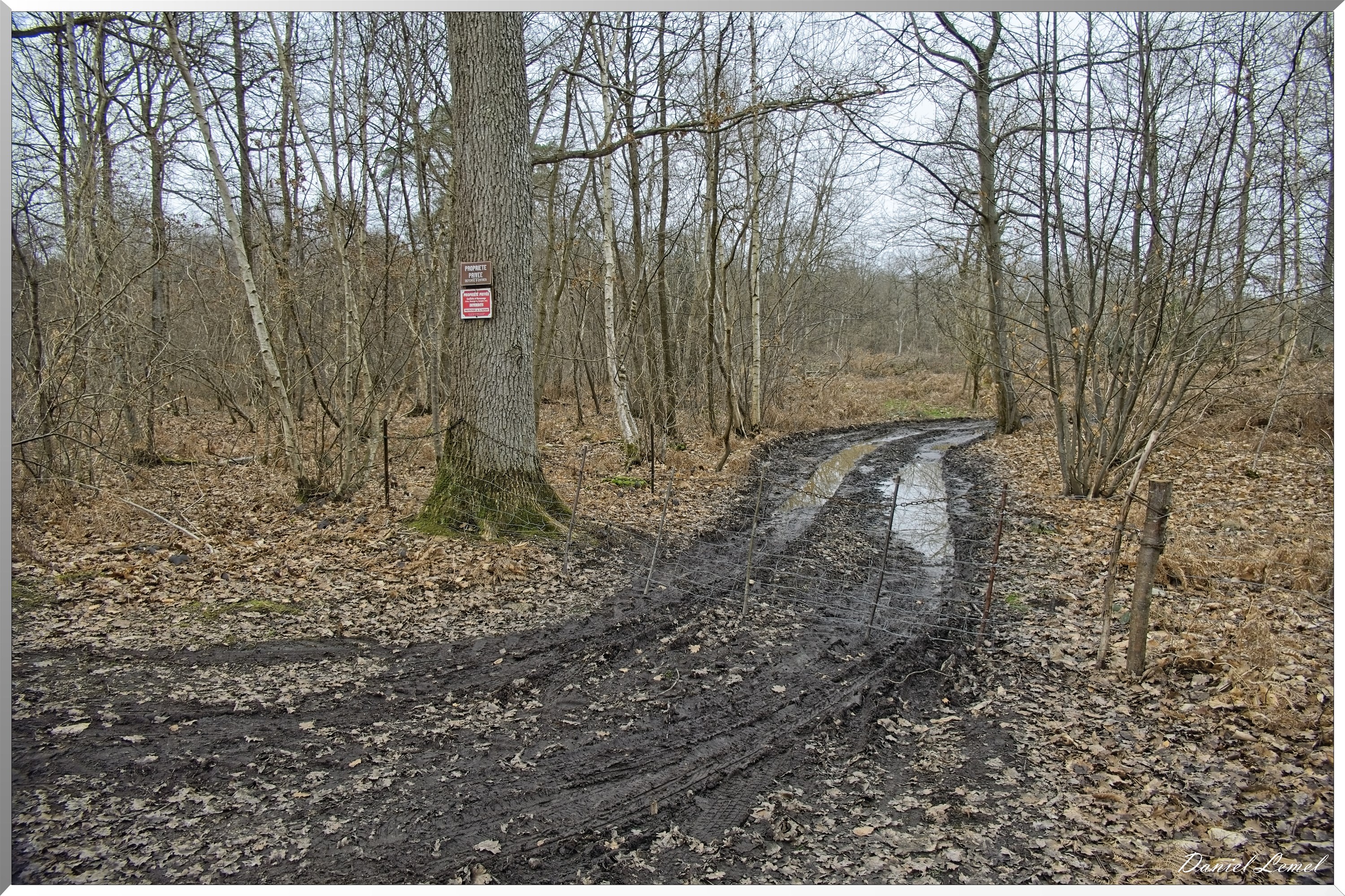 La-Chapelle-Réanville
