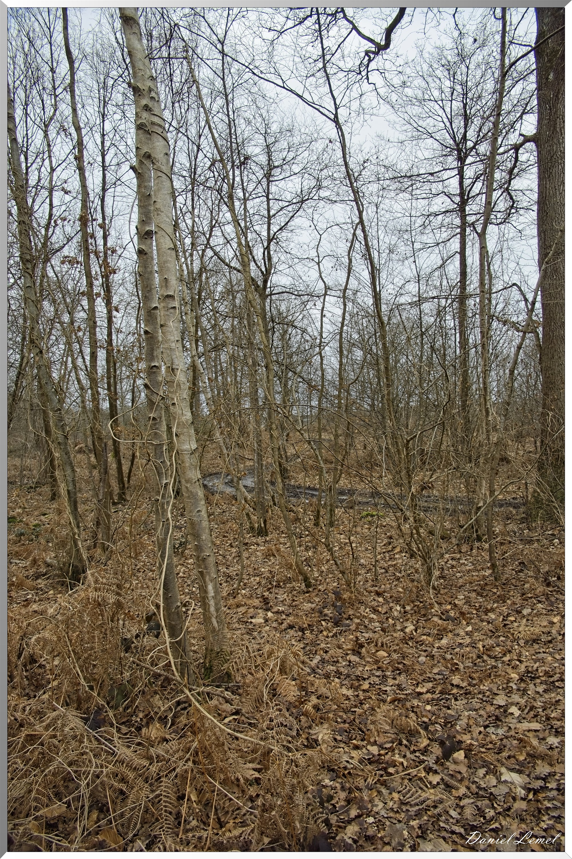 La-Chapelle-Réanville