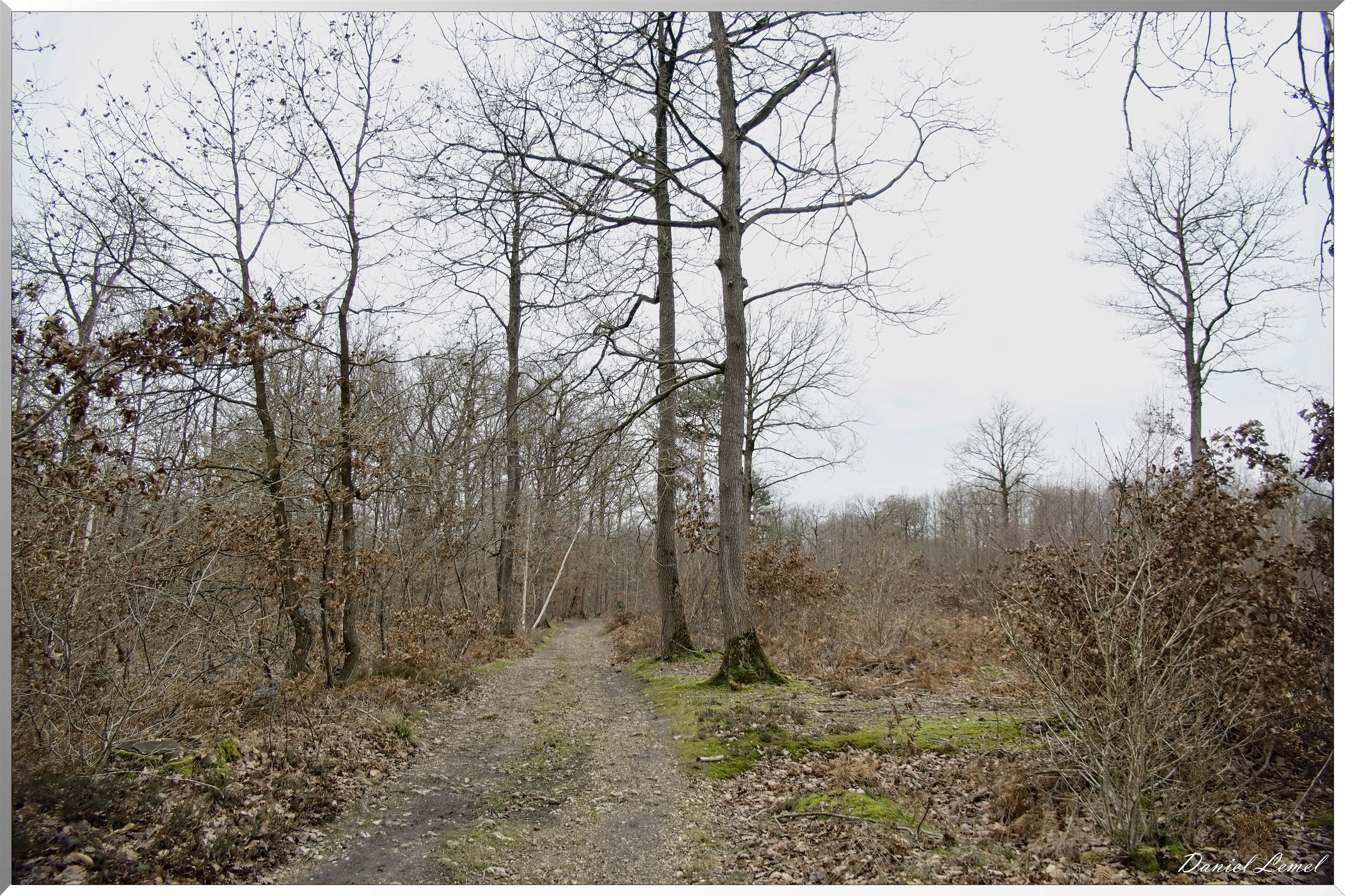 La-Chapelle-Réanville