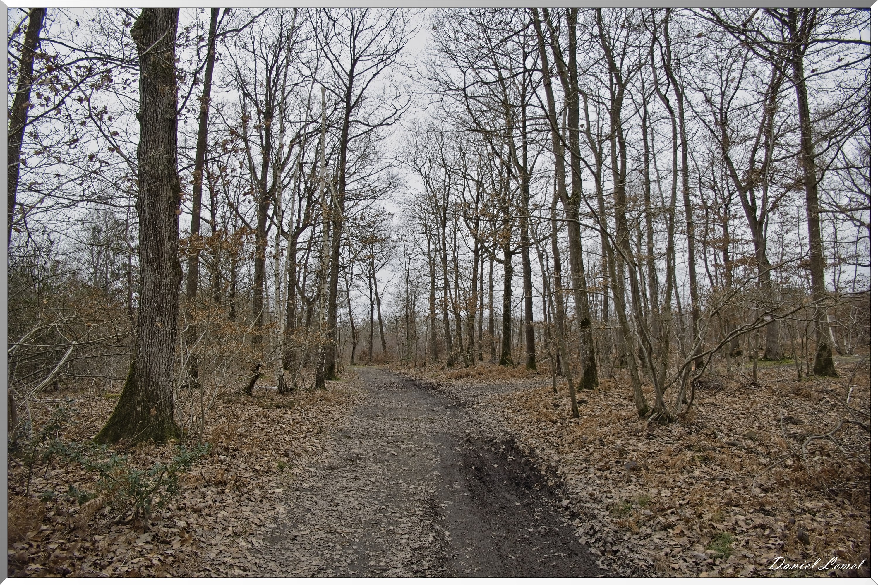 La-Chapelle-Réanville