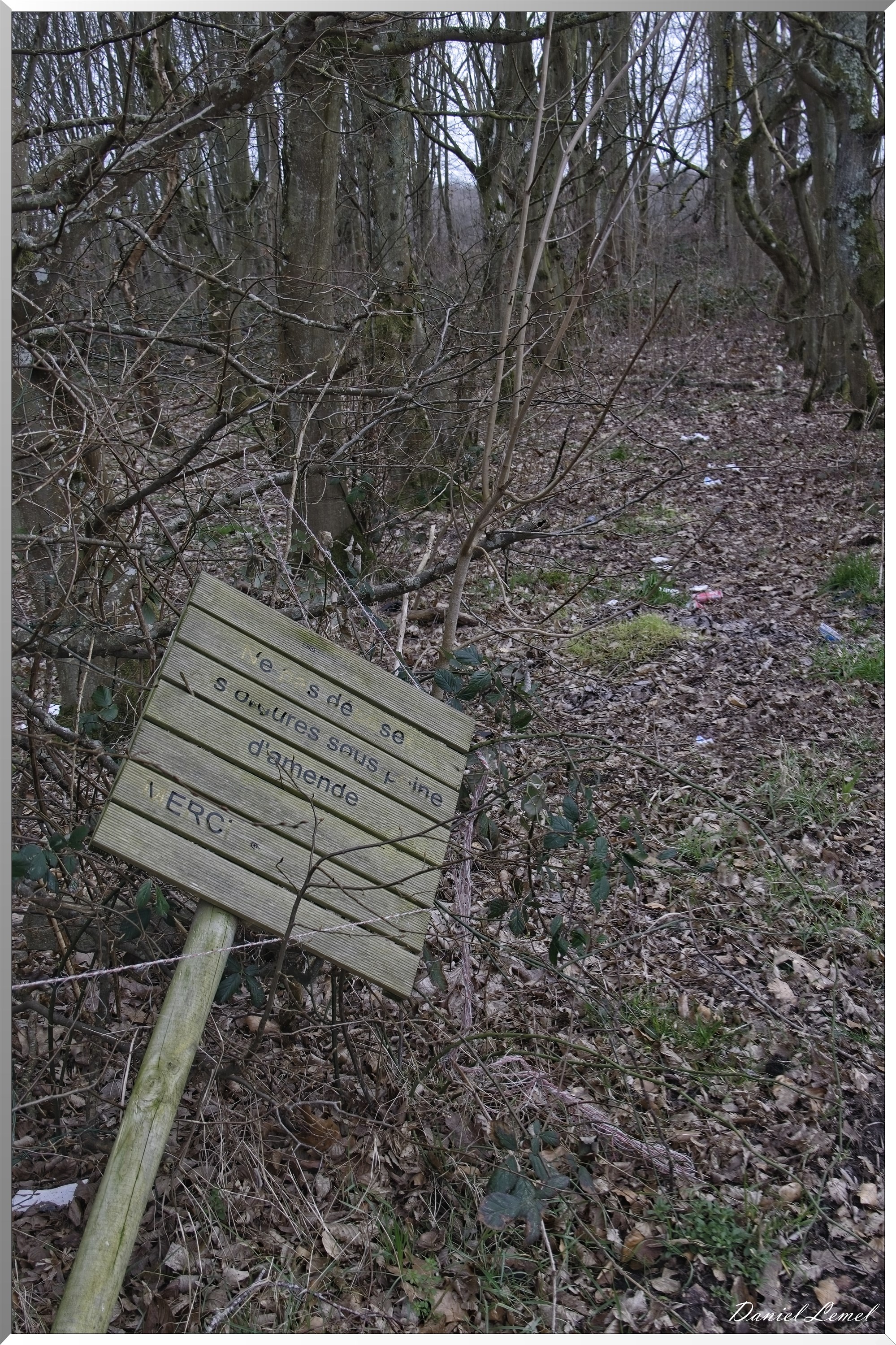 La-Chapelle-Réanville