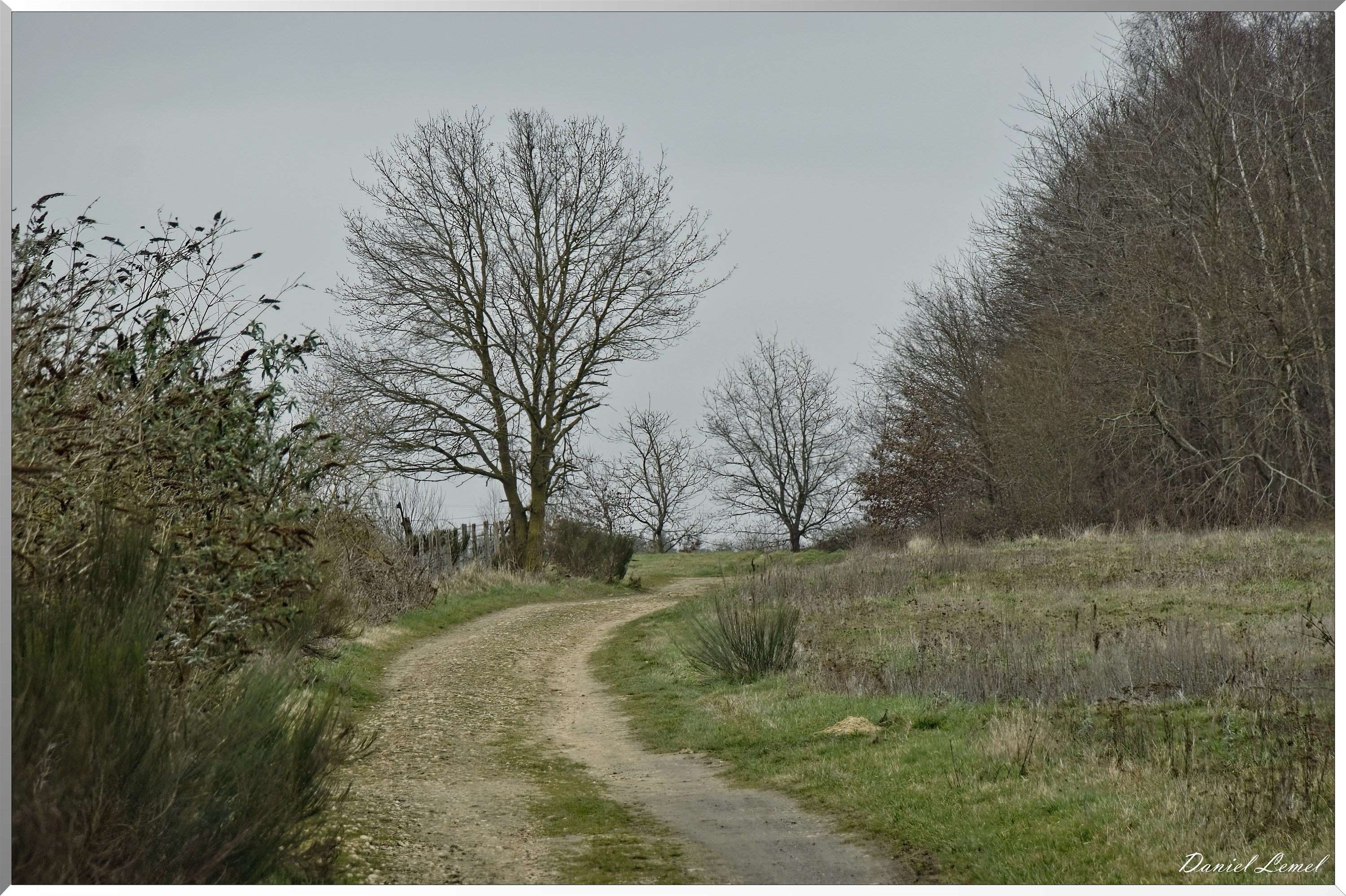 La-Chapelle-Réanville