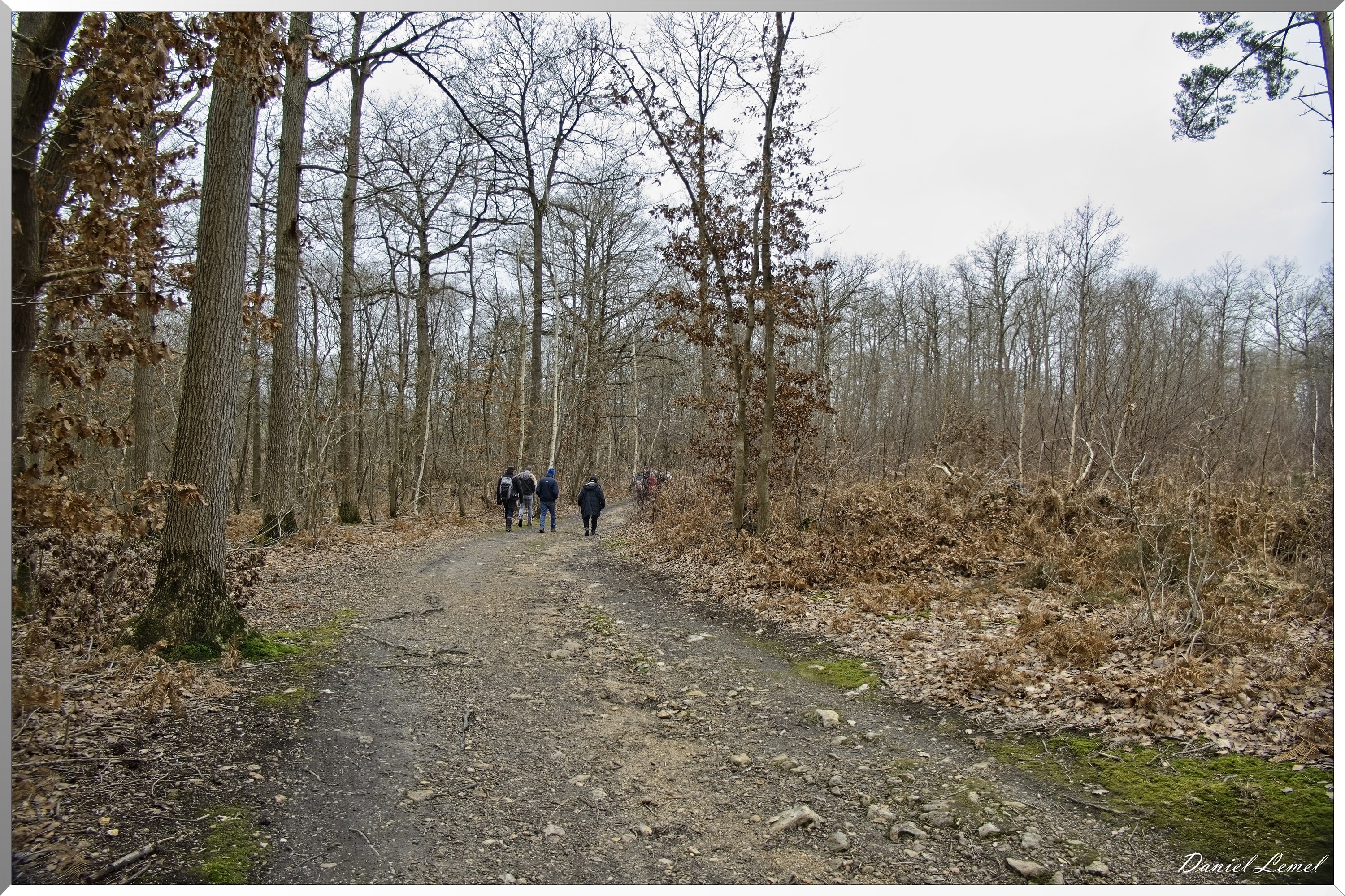 La-Chapelle-Réanville