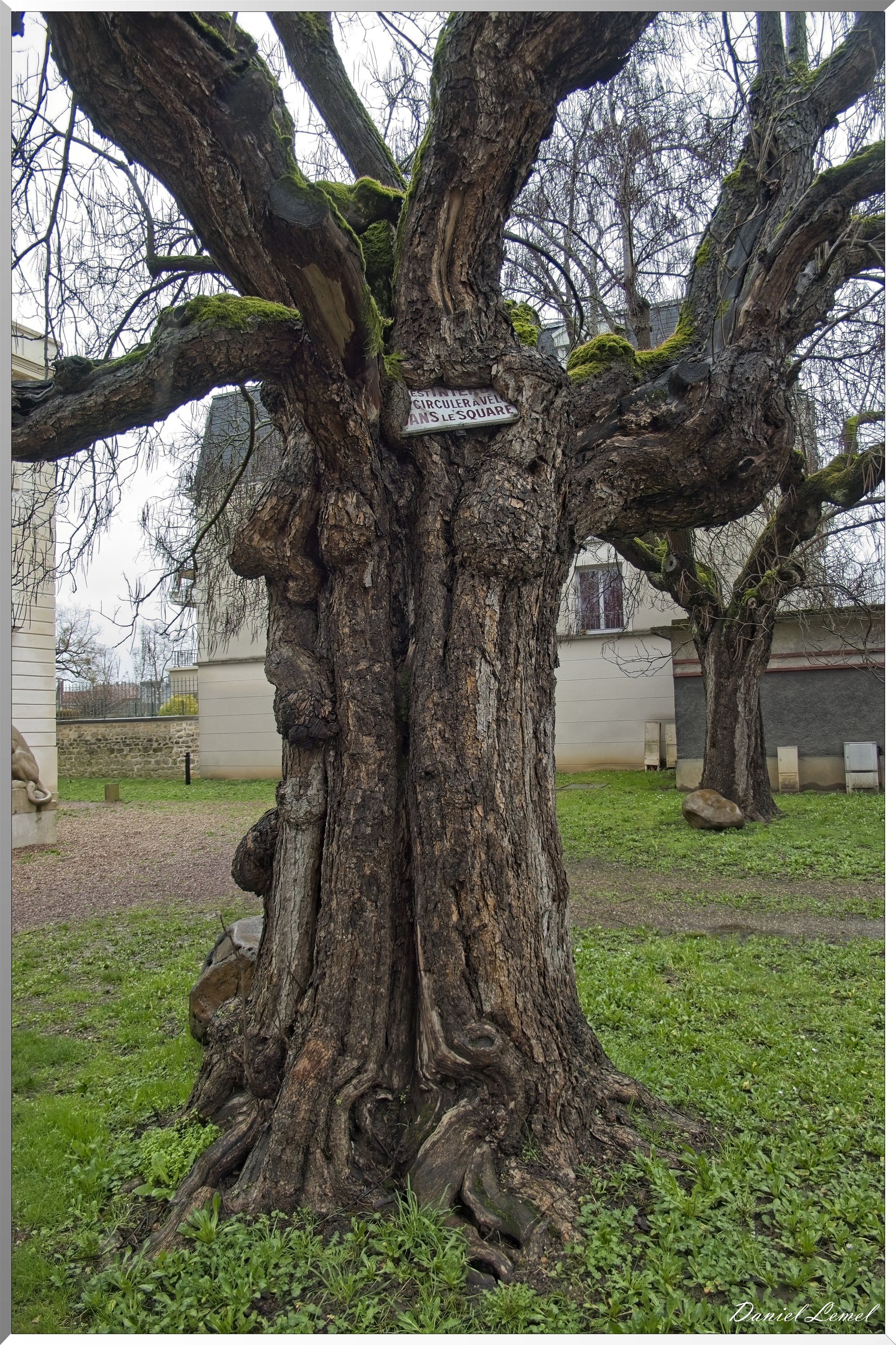 Mantes-la-Jolie