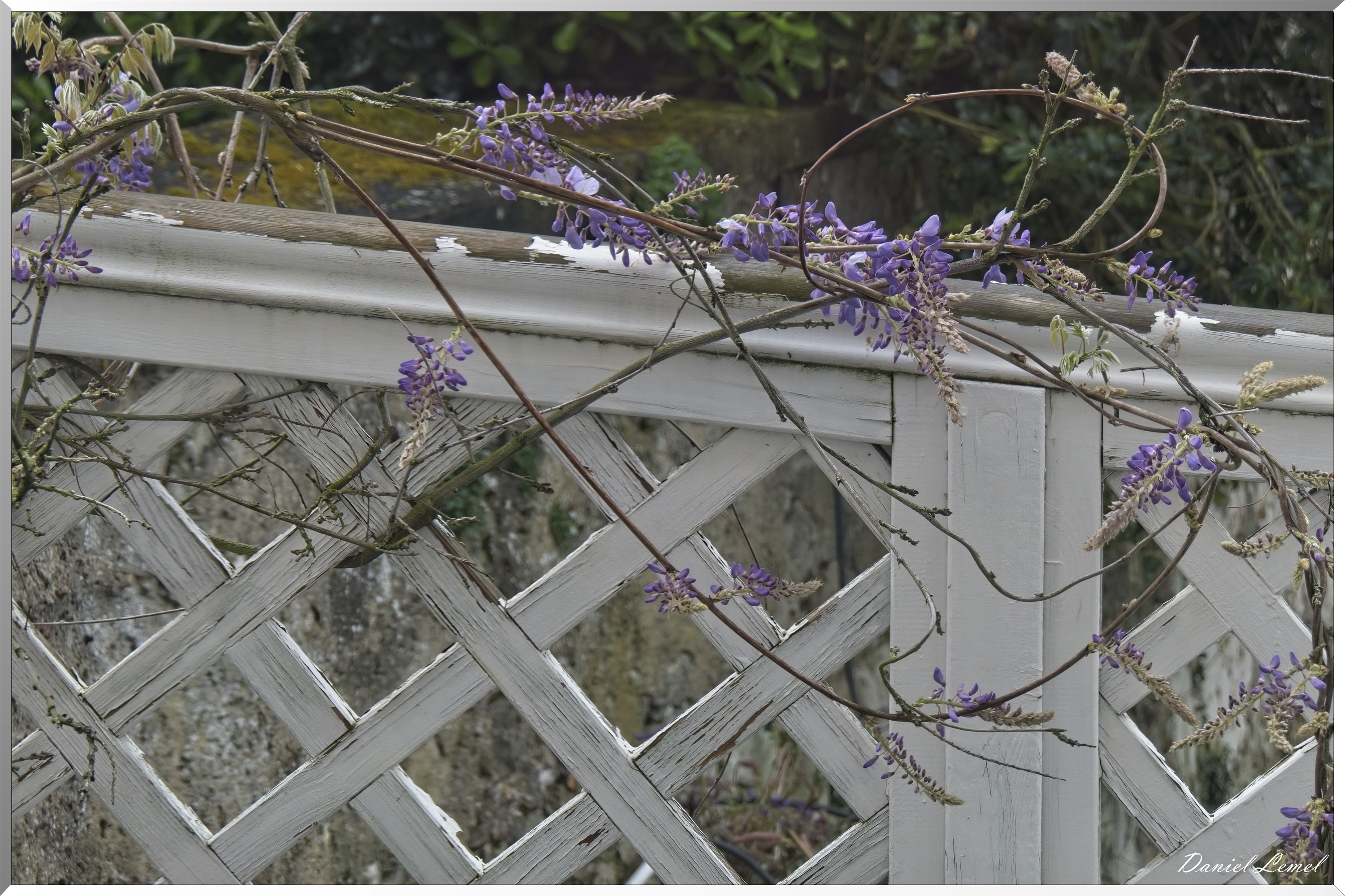 Maison-Agutte-Sembat