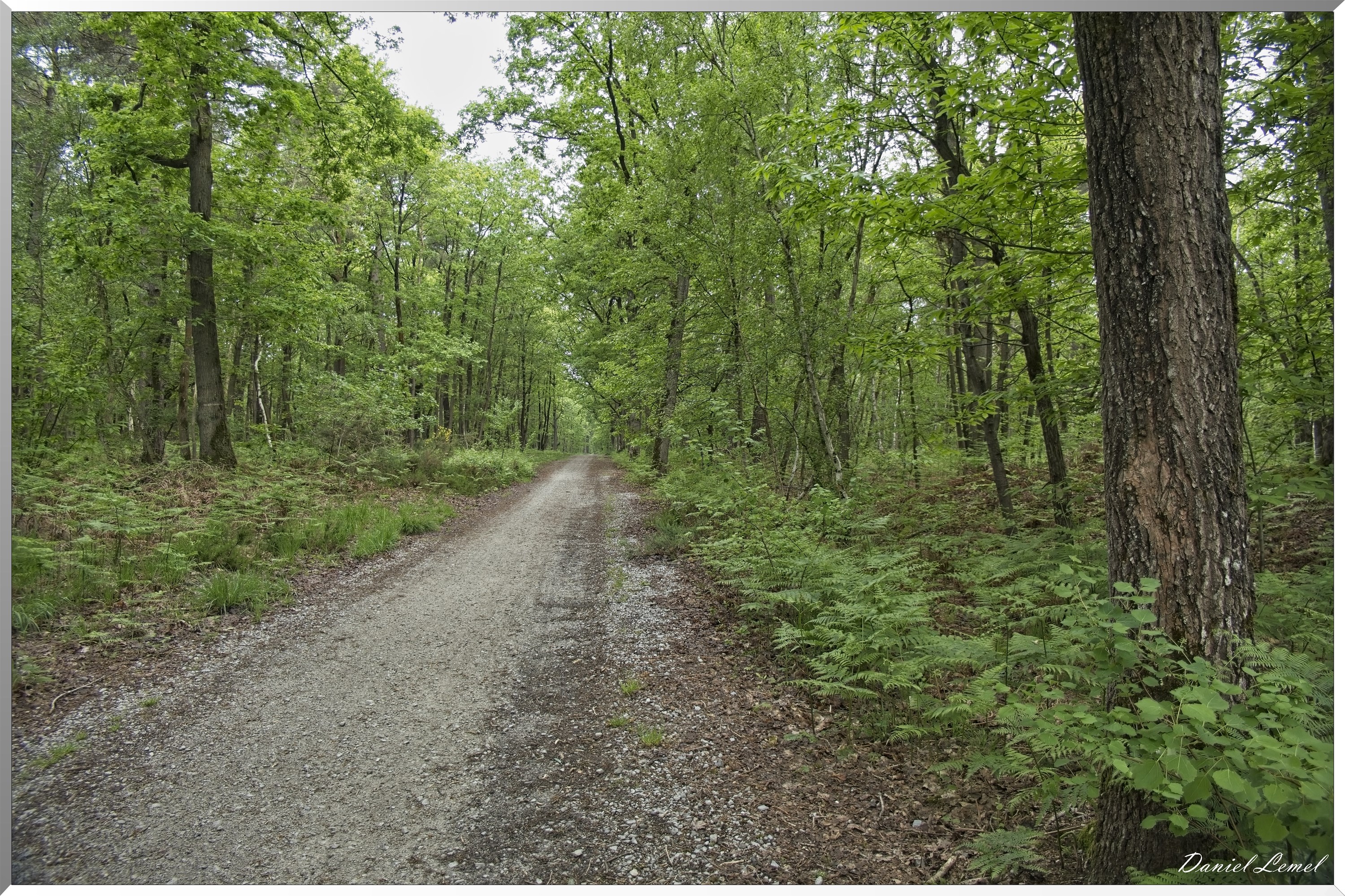 St-Aubin-sur-Gaillon