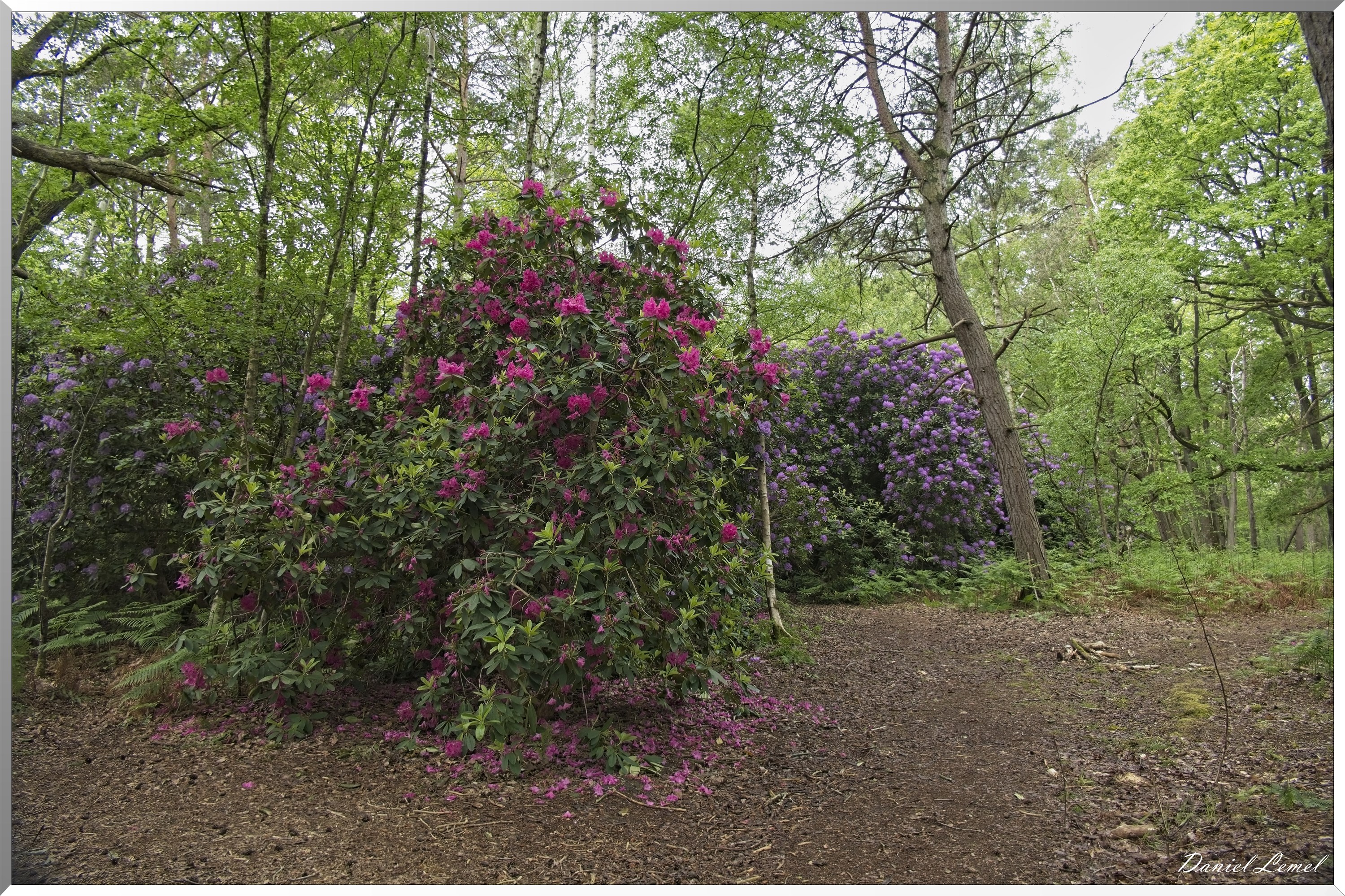 St-Aubin-sur-Gaillon