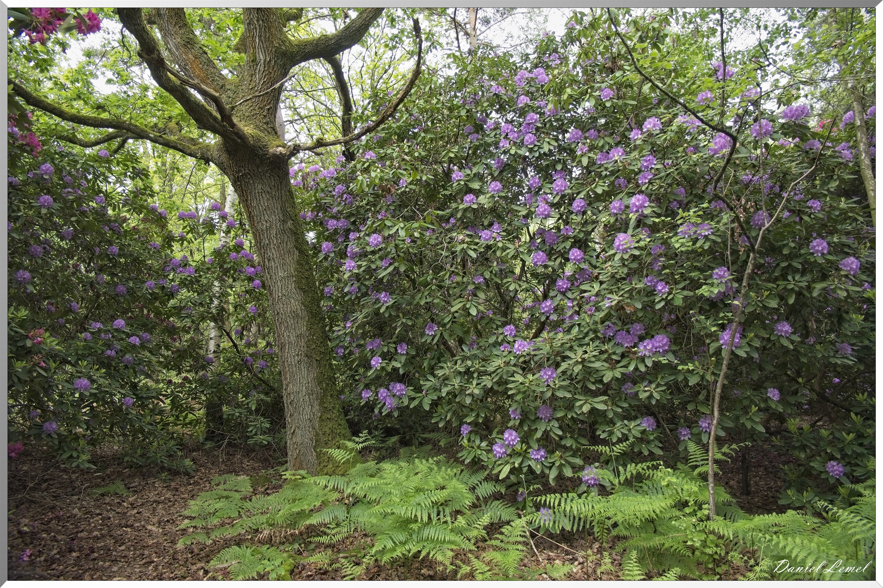 St-Aubin-sur-Gaillon