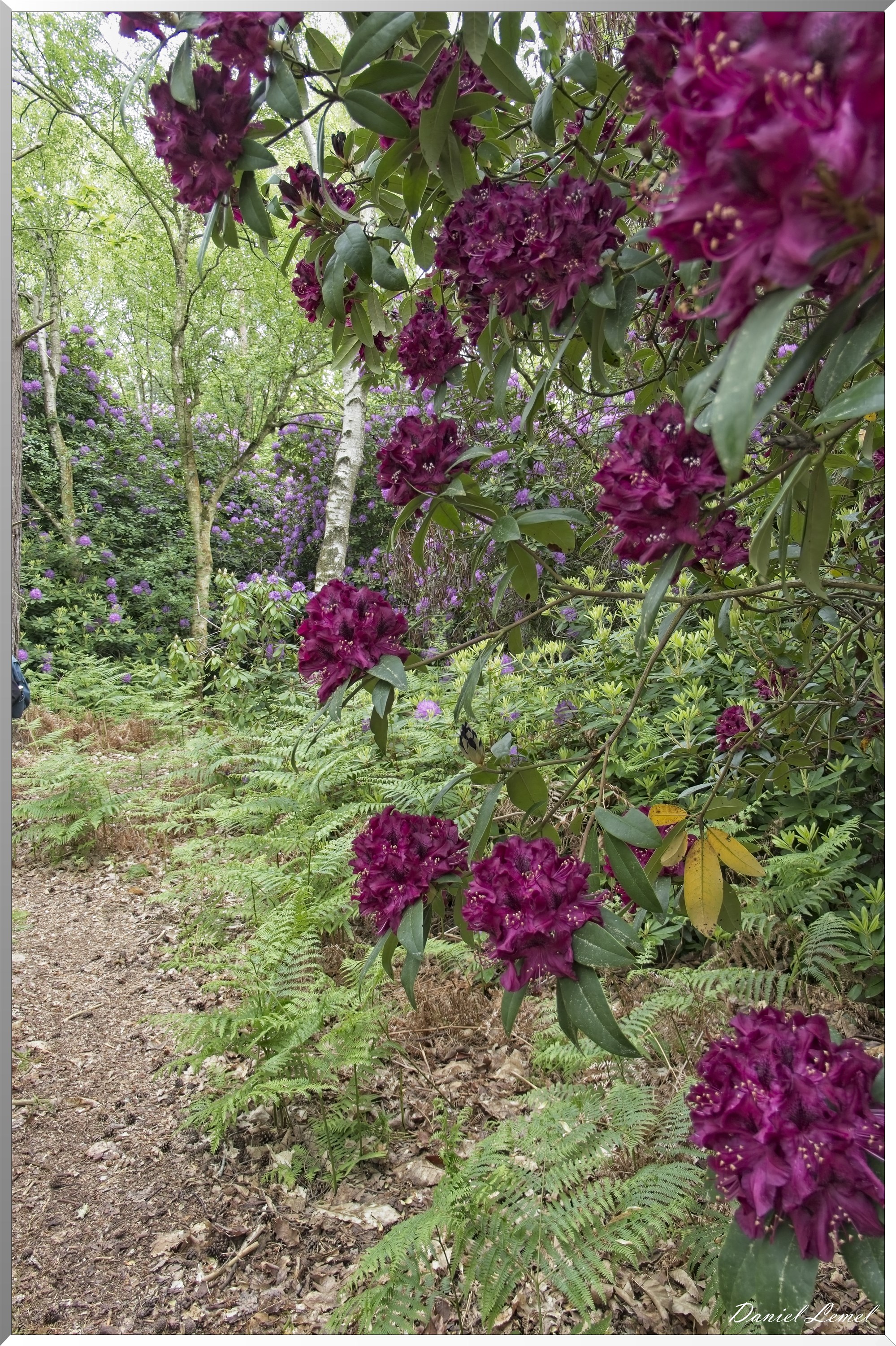 St-Aubin-sur-Gaillon