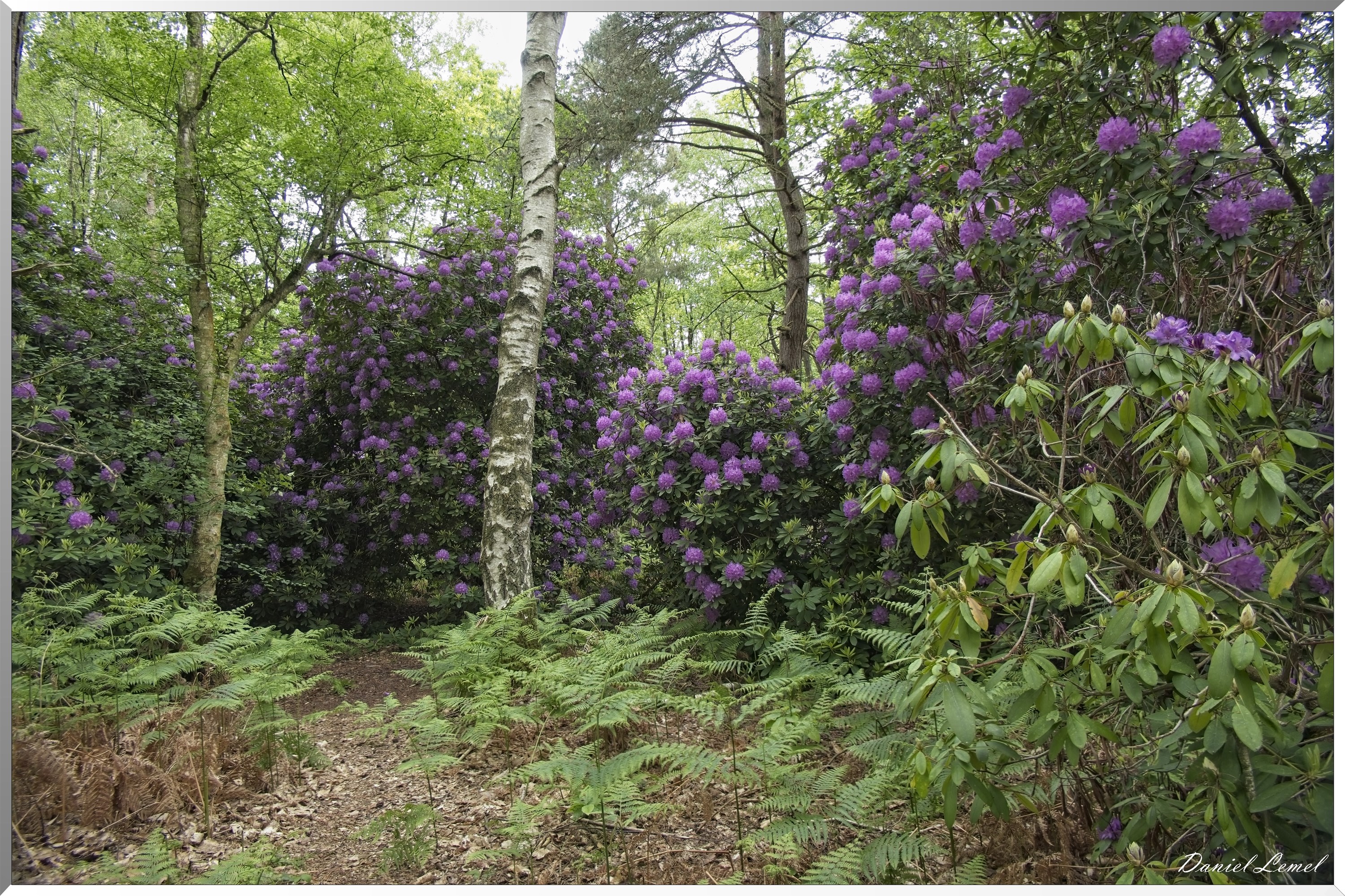 St-Aubin-sur-Gaillon