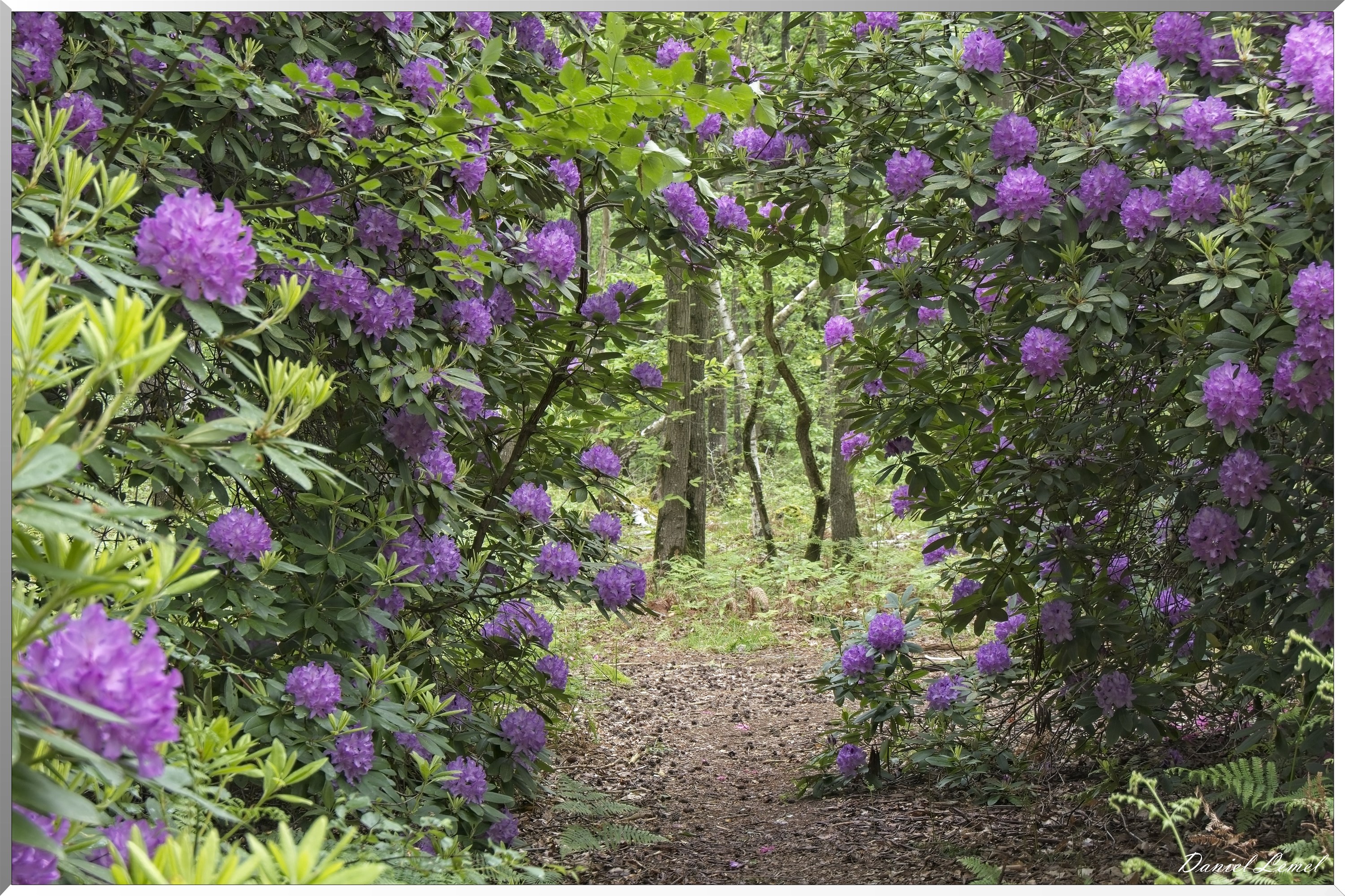 St-Aubin-sur-Gaillon