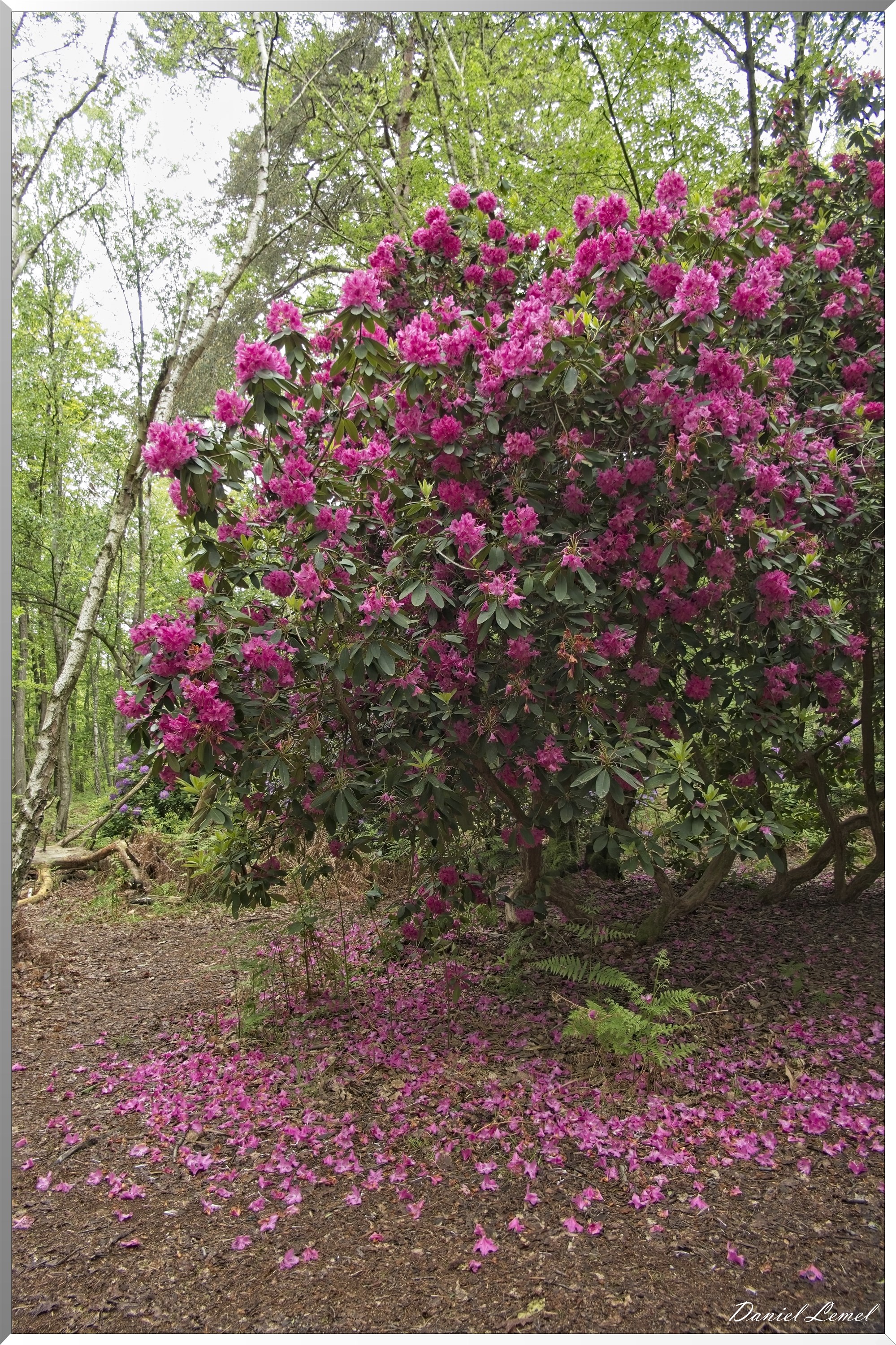 St-Aubin-sur-Gaillon