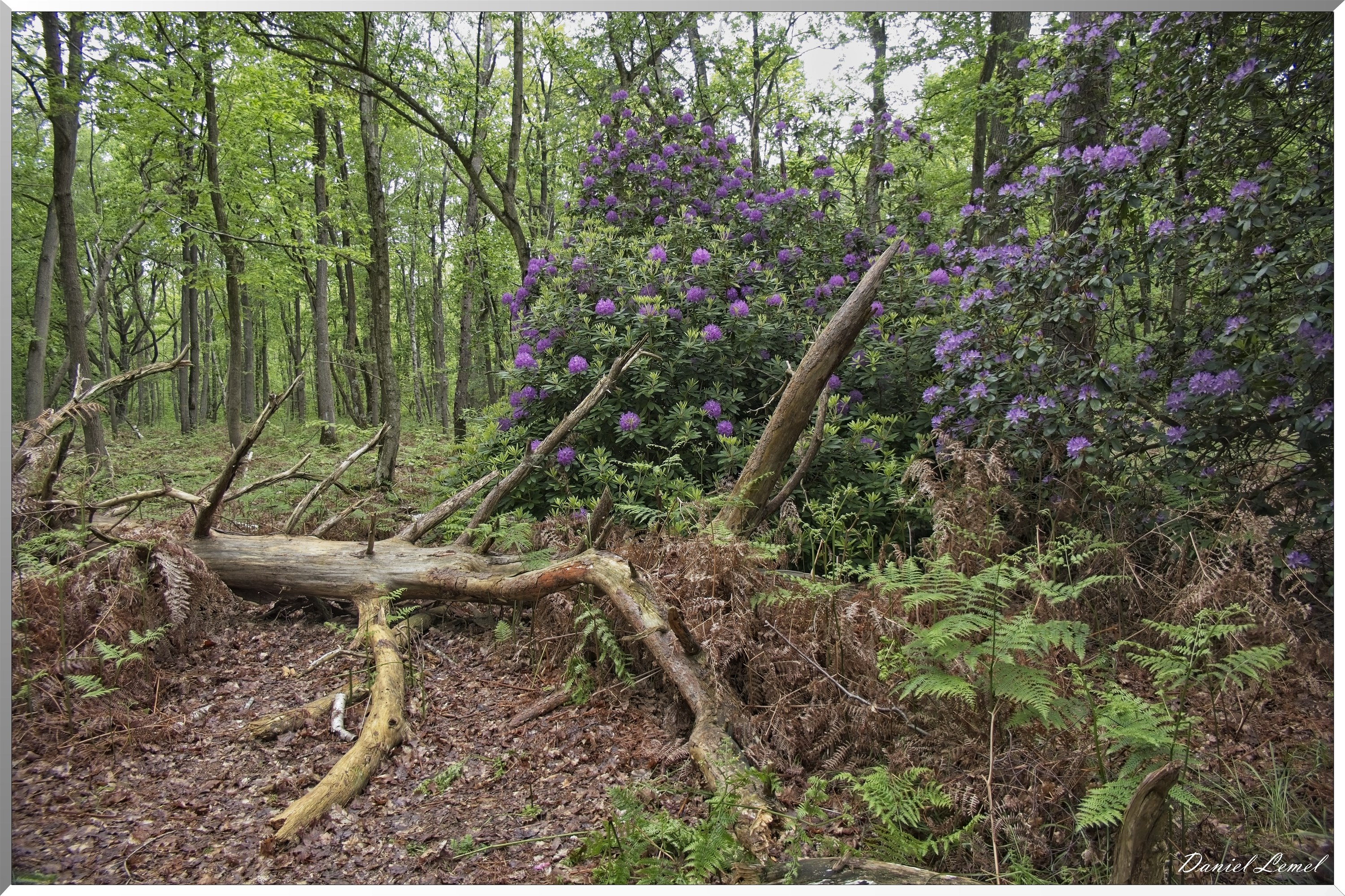 St-Aubin-sur-Gaillon