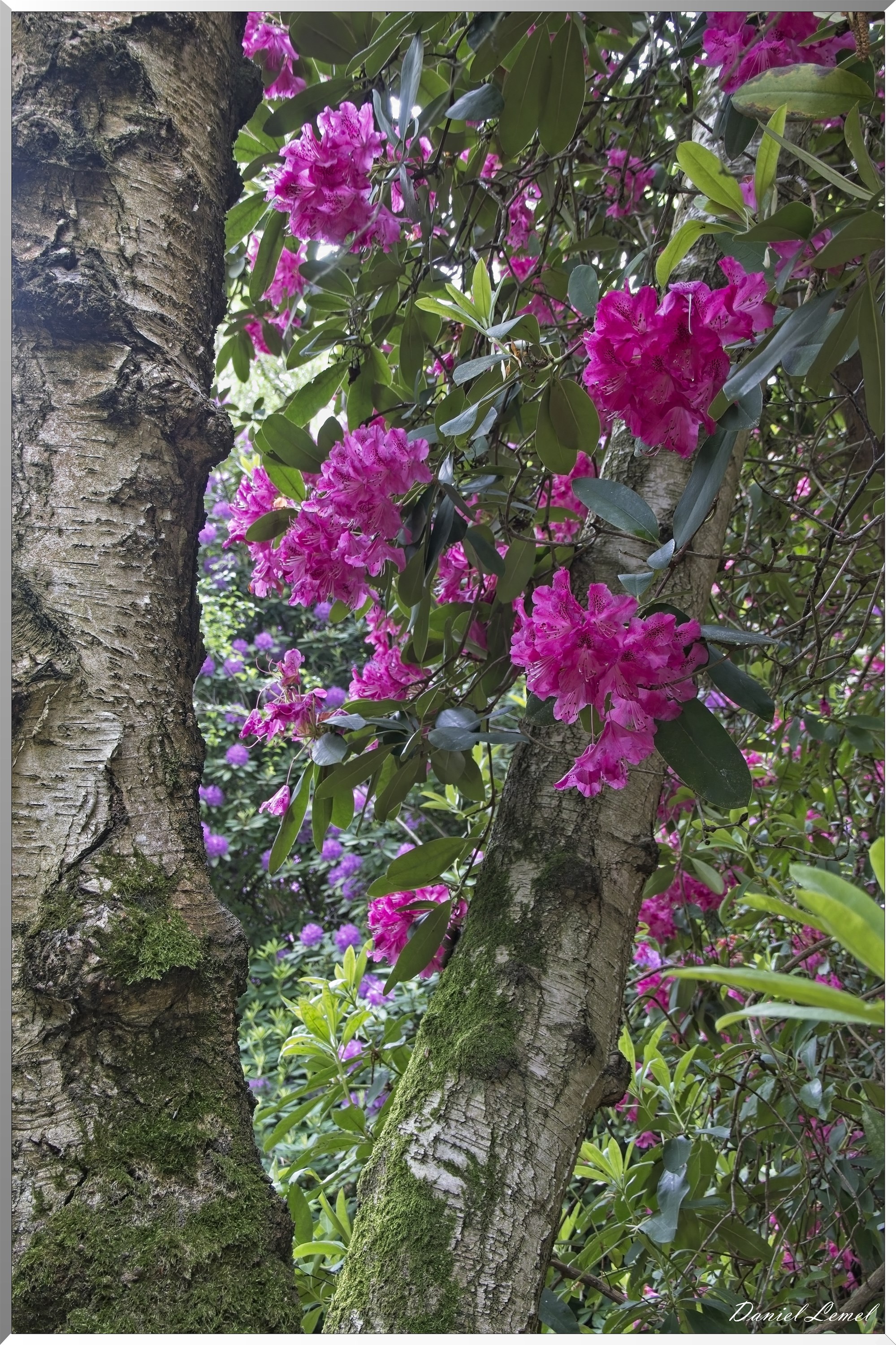 St-Aubin-sur-Gaillon