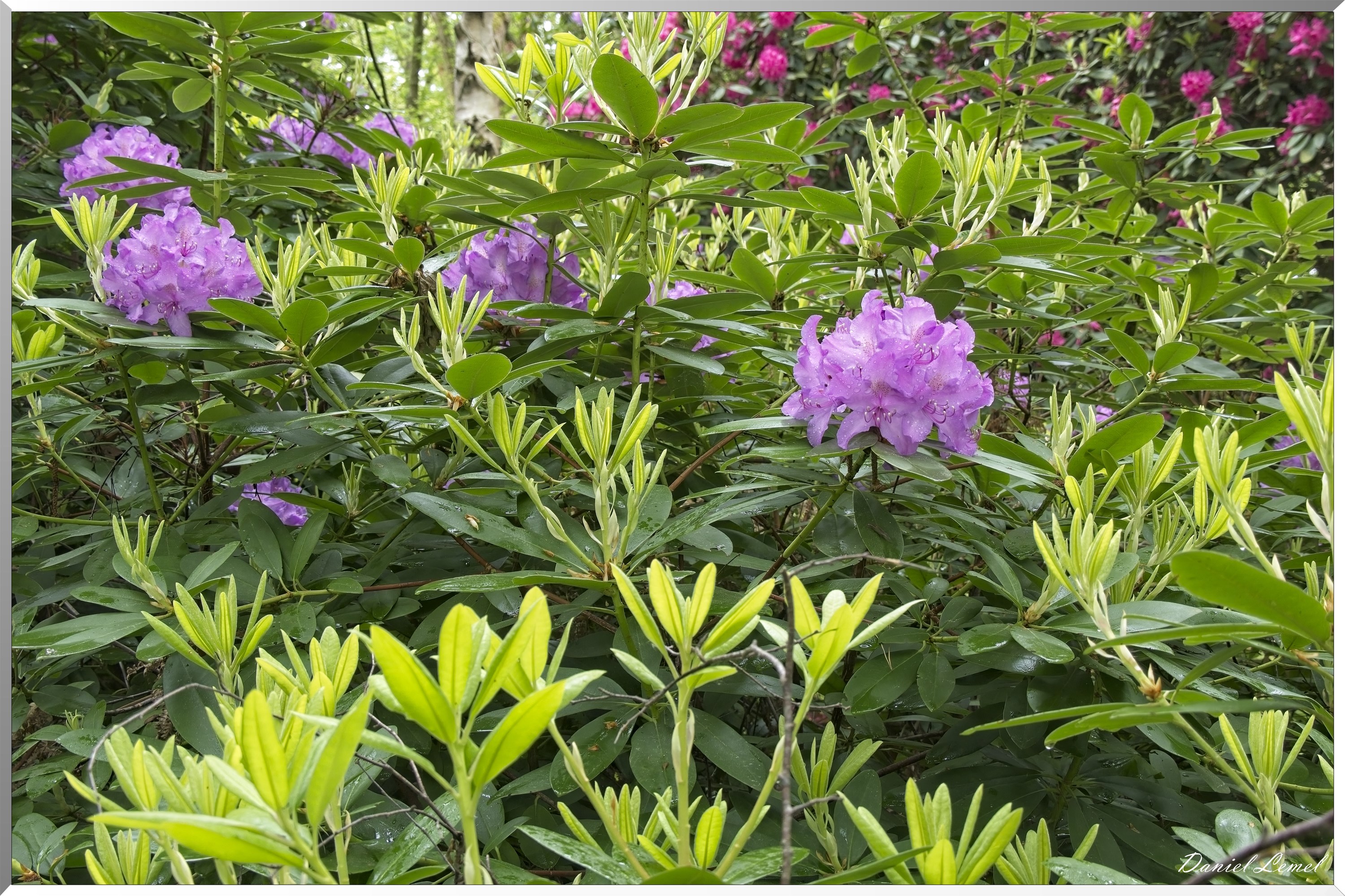 St-Aubin-sur-Gaillon